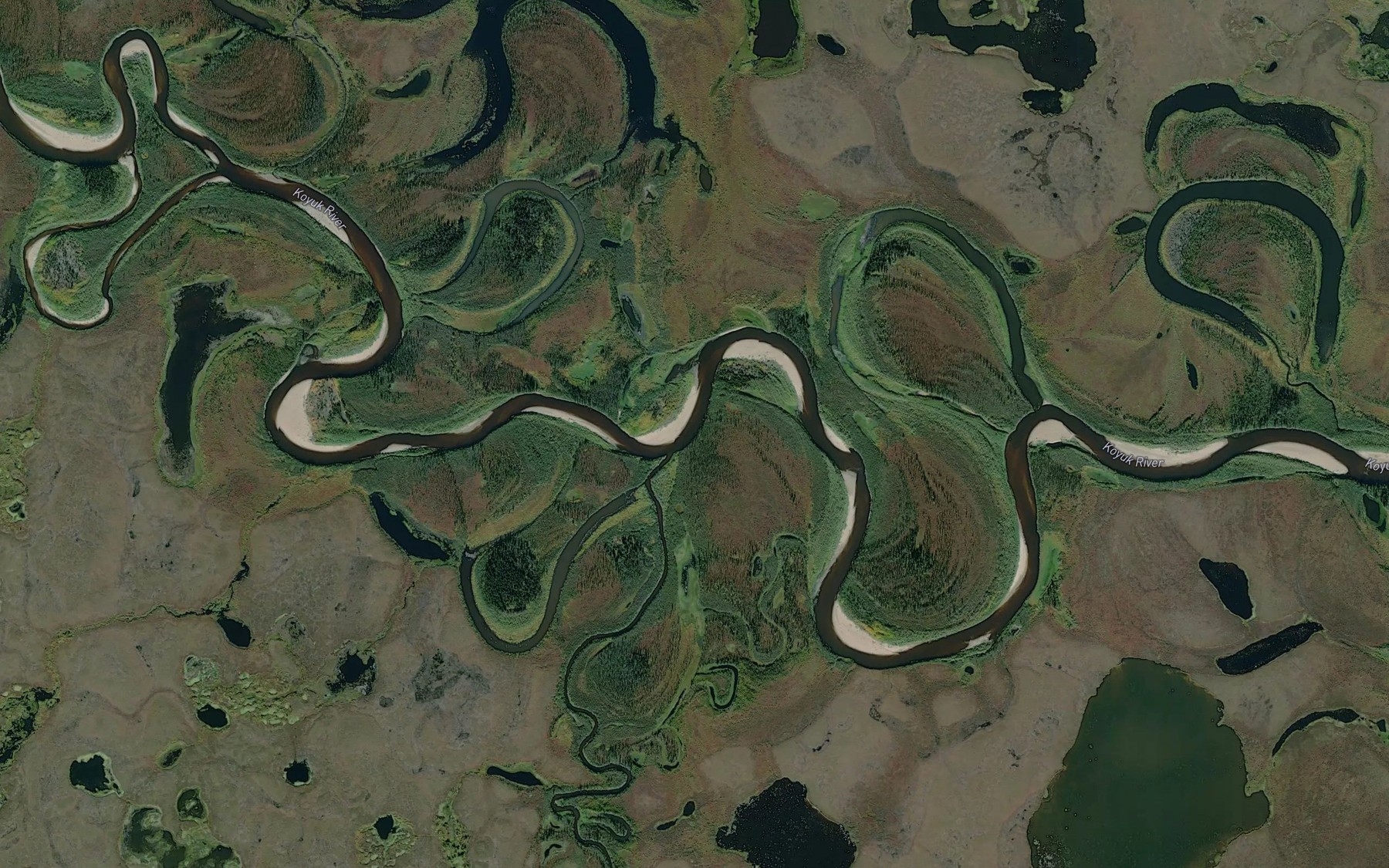 Satellite map of the Salmon Creek