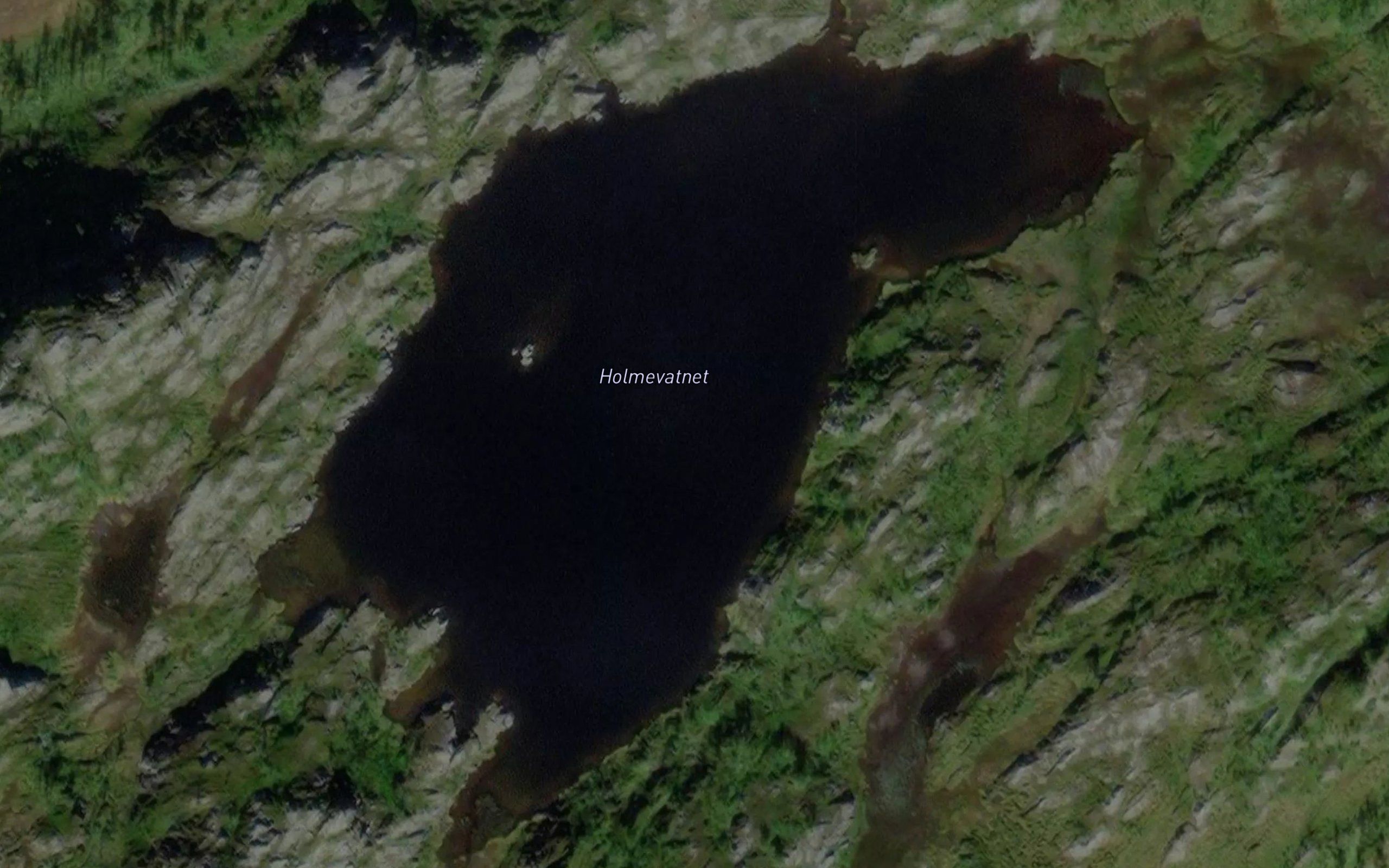 Holmevatnet