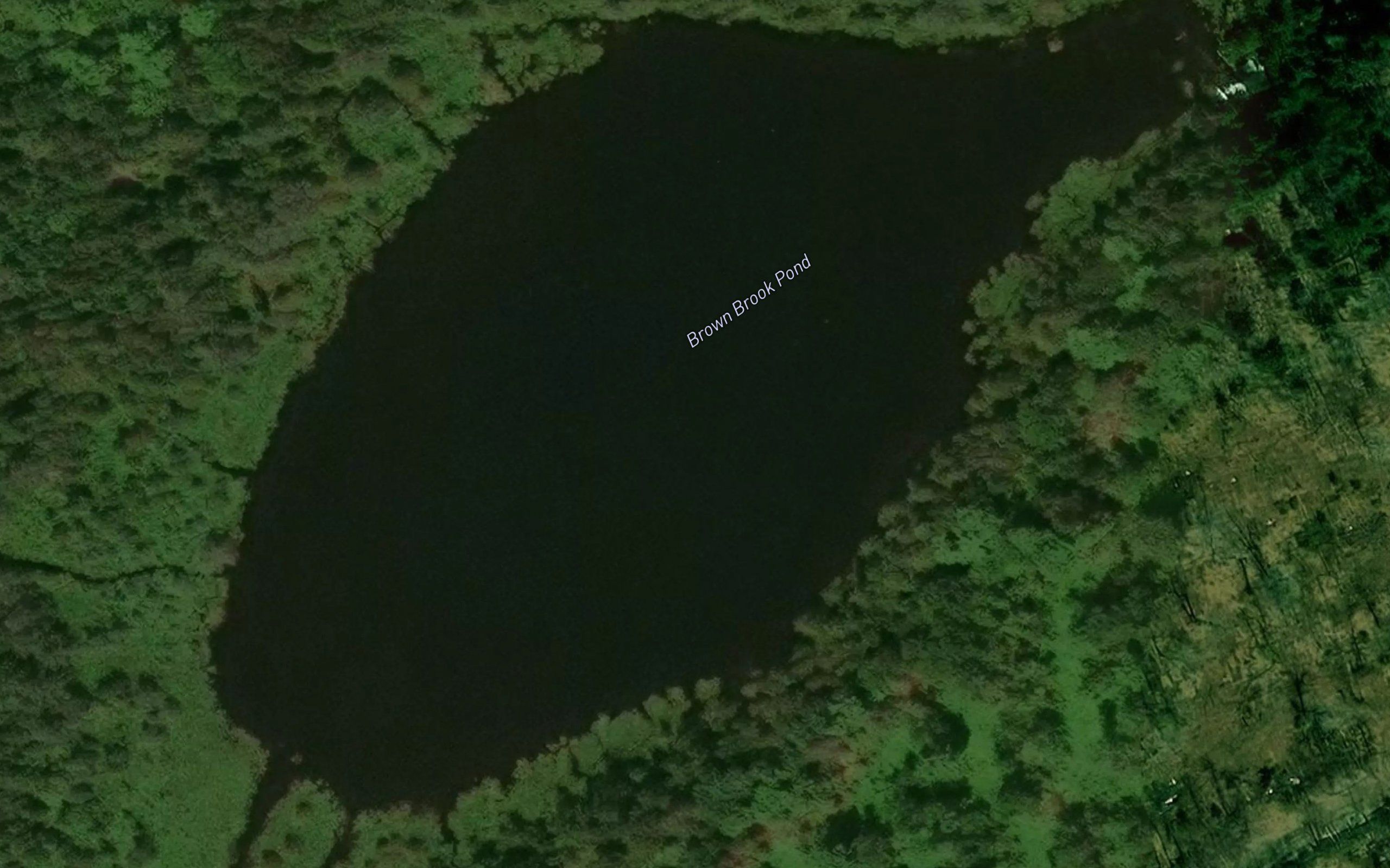 Brown Brook Pond
