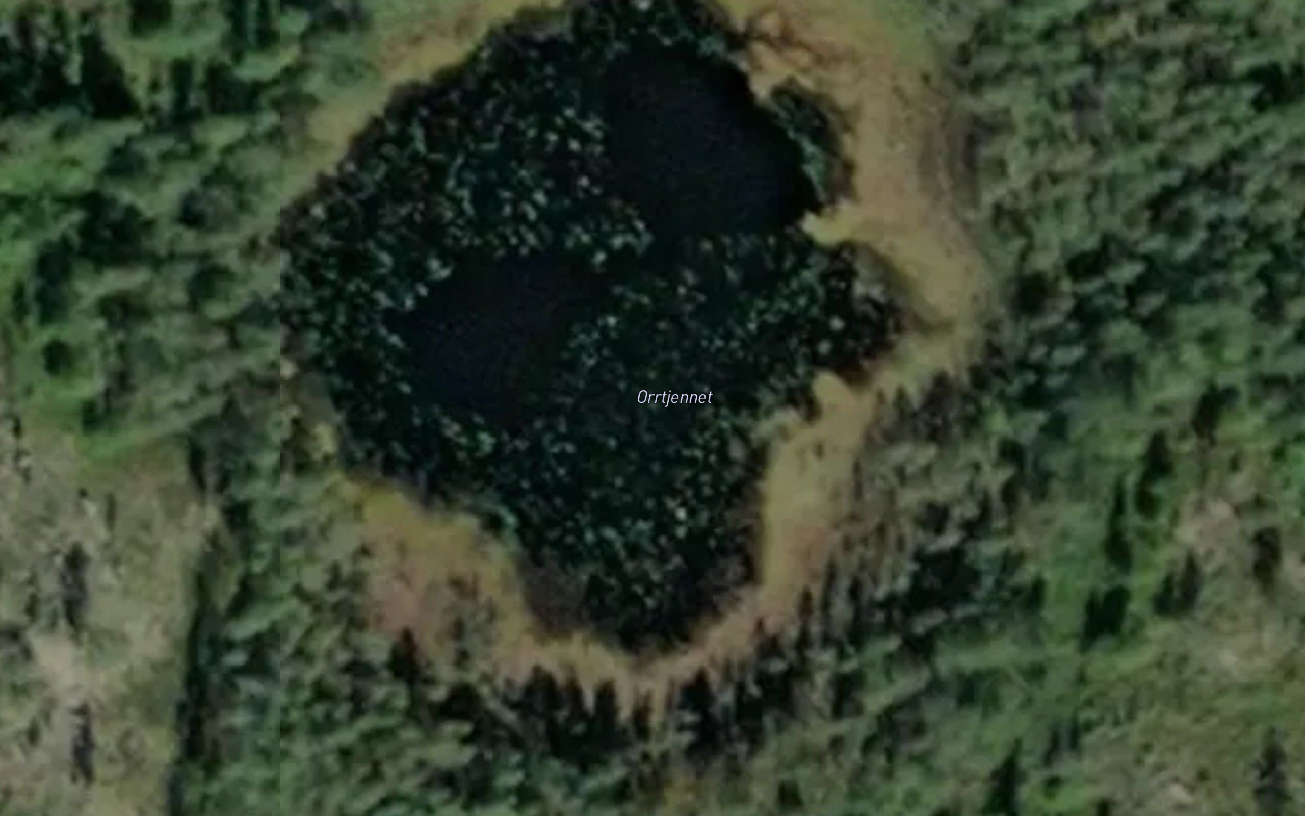 Orrtjennet