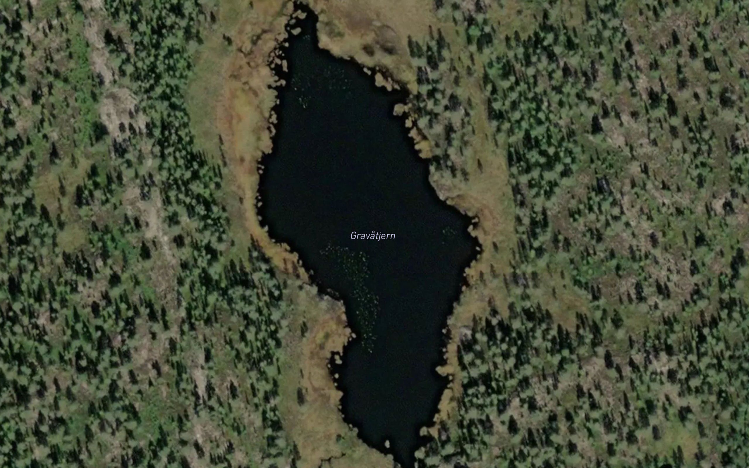 Gravatjern