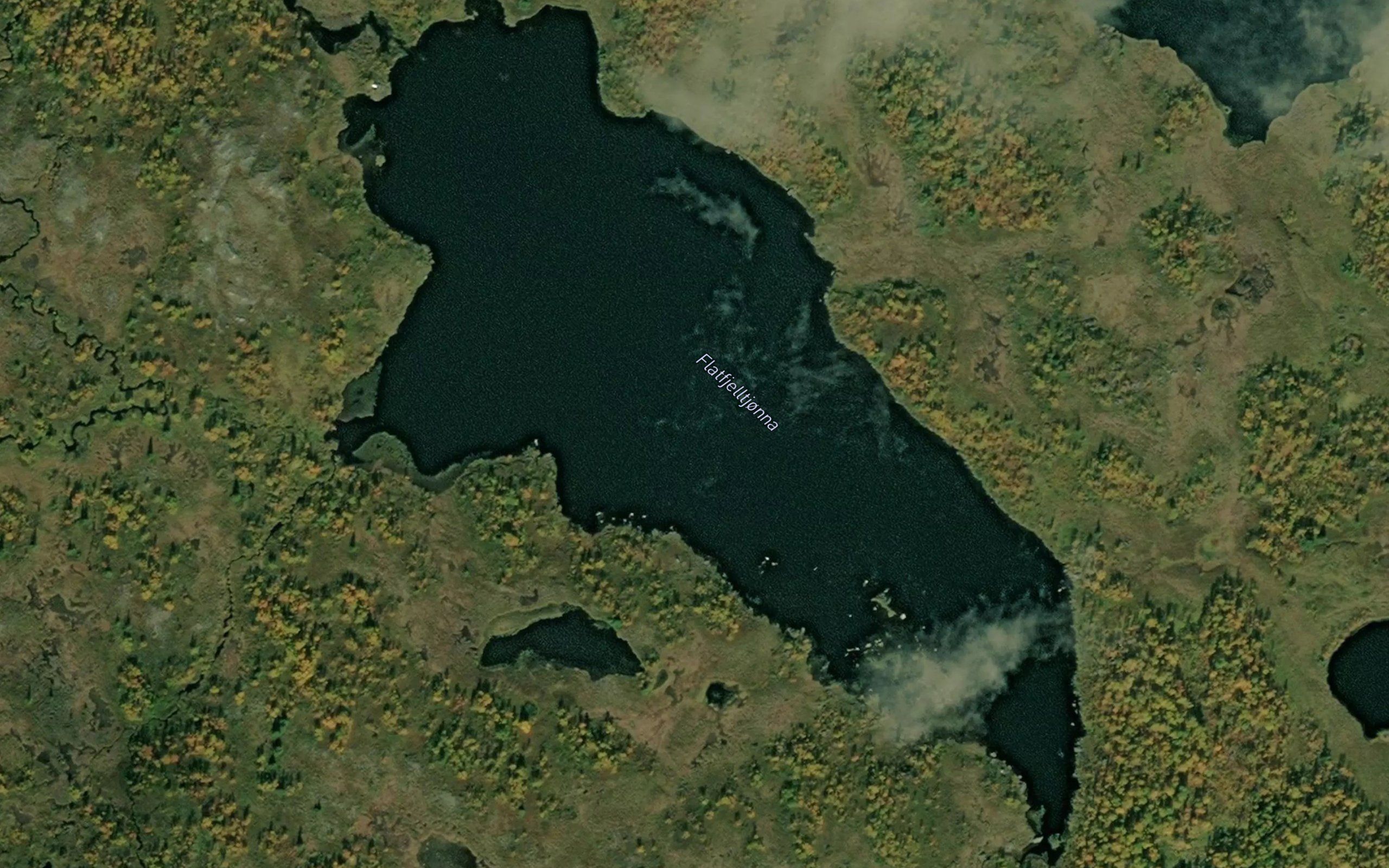 Flatfjelltjorna