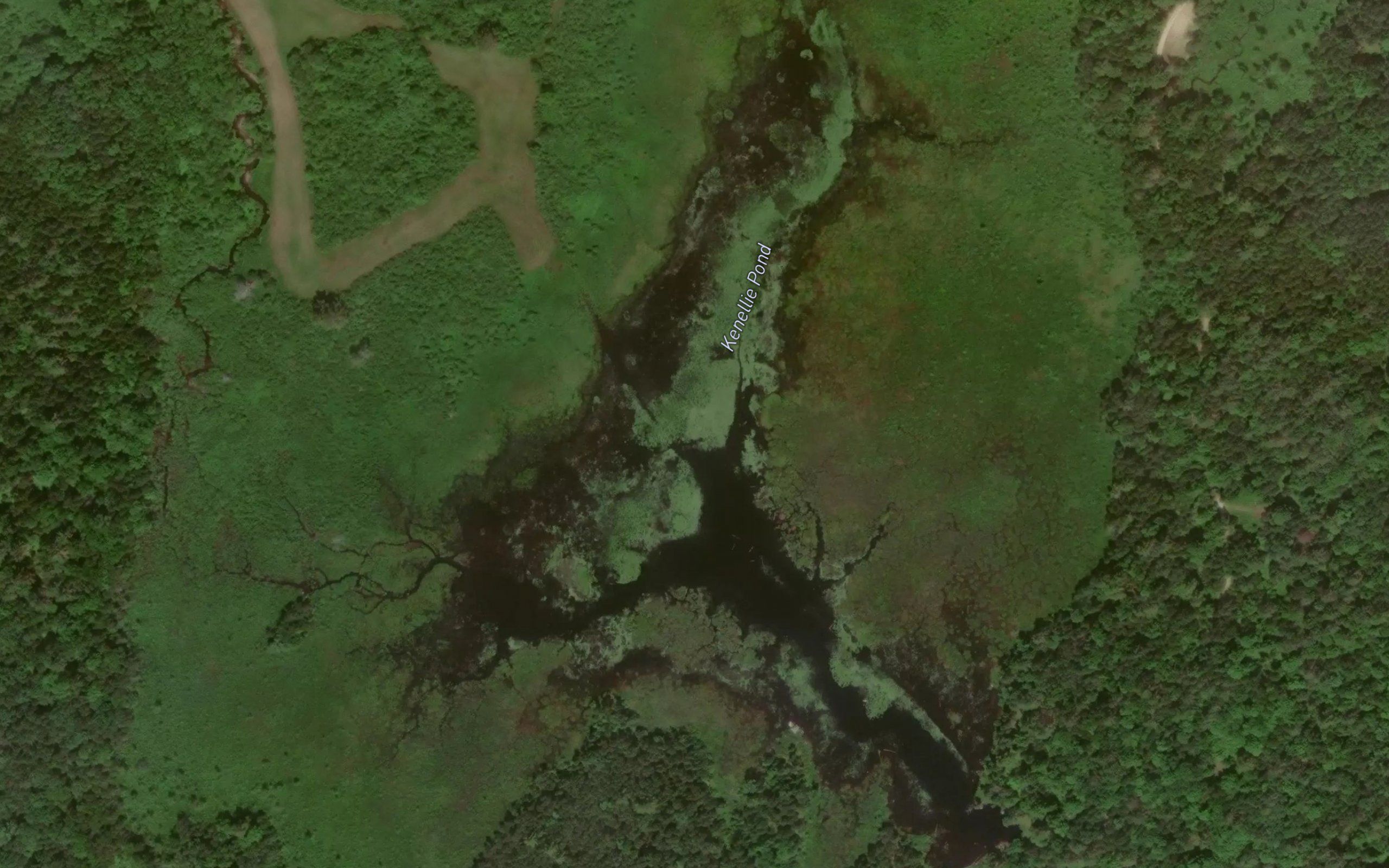 East Branch Beaver Brook