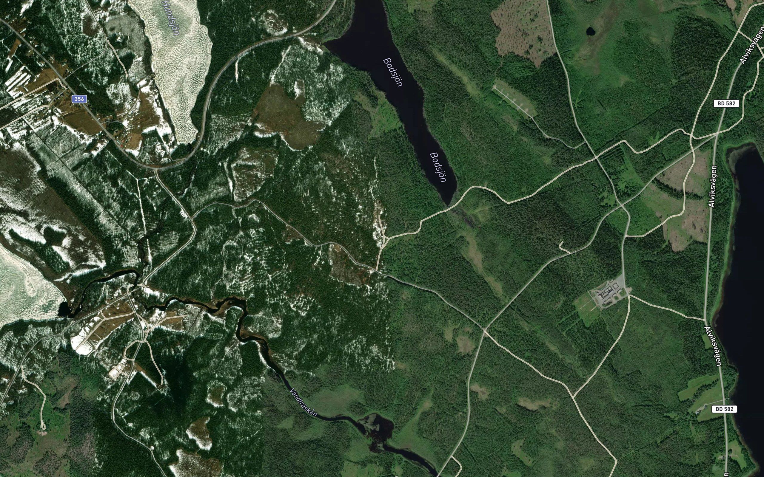 Bodsjon