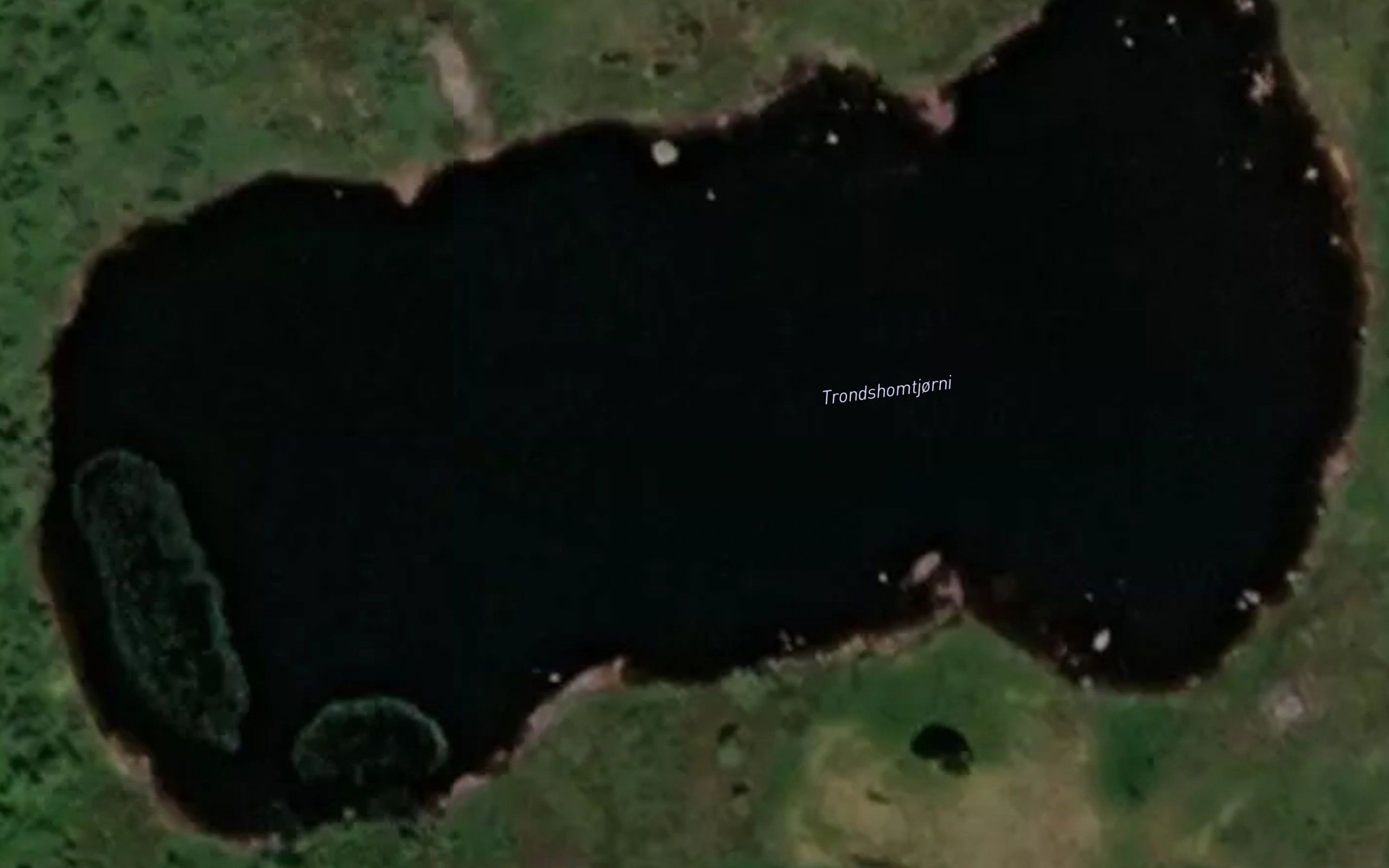 Trondshomtjorni