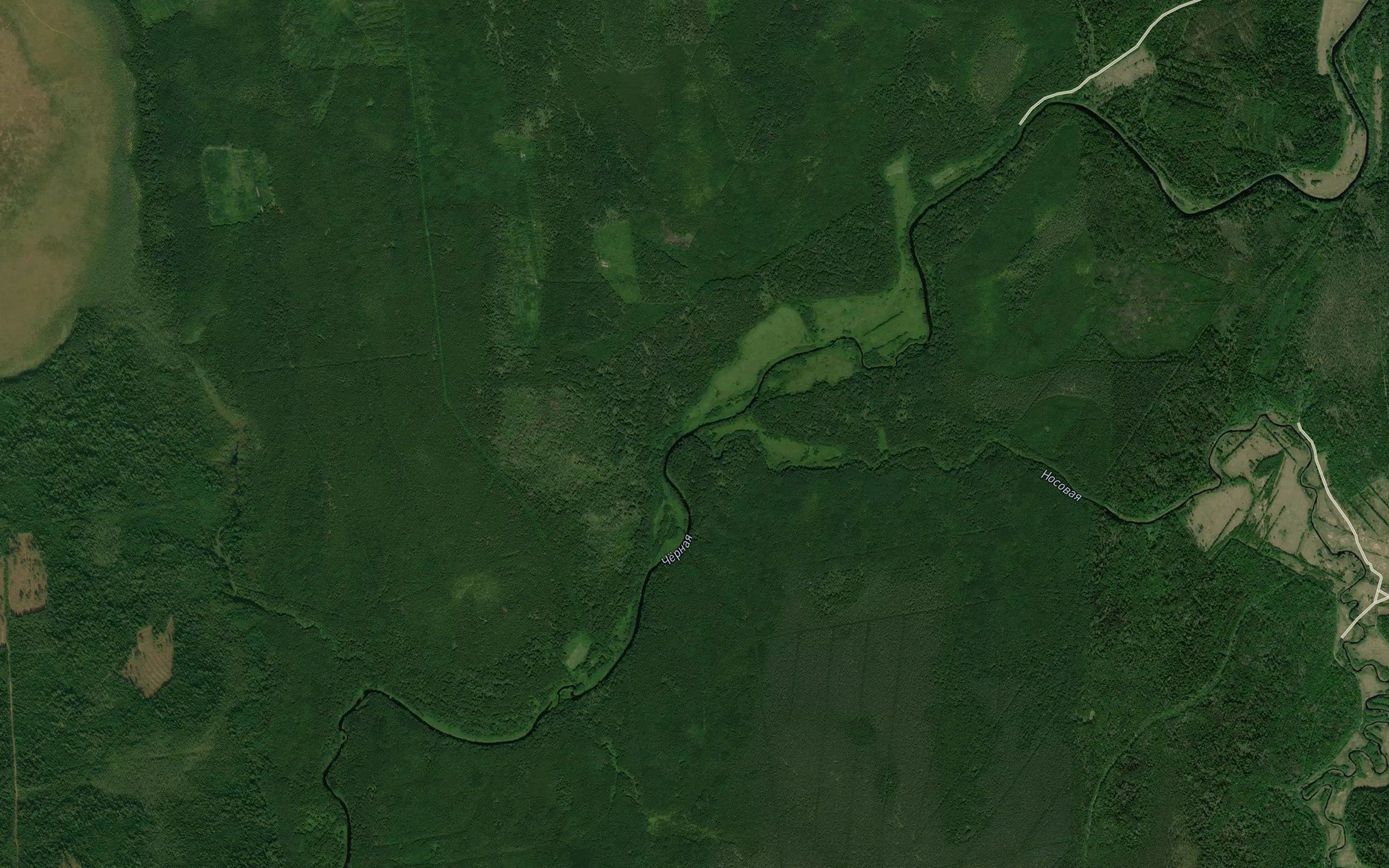 Nosovaya