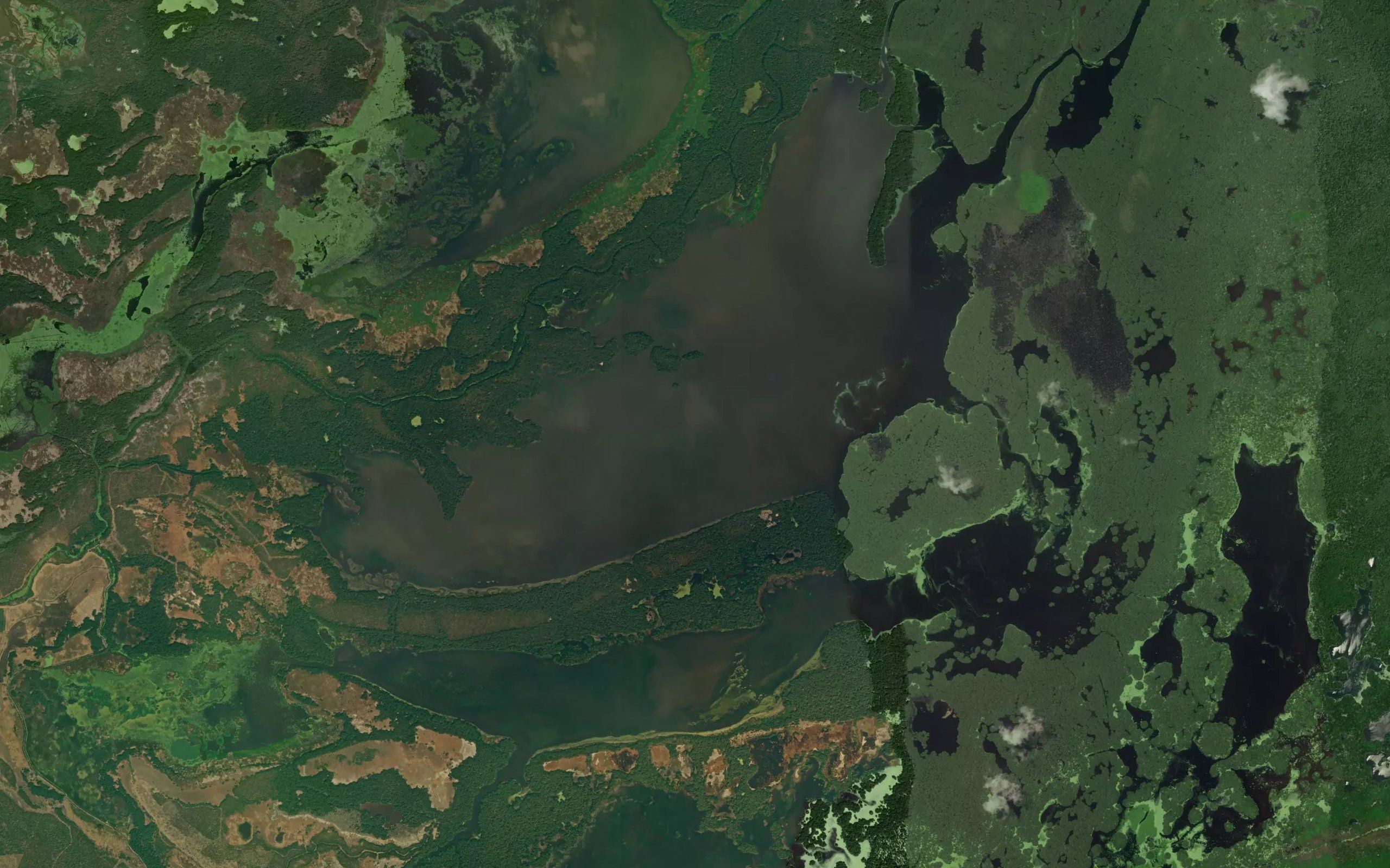 Cienaga la Aguja