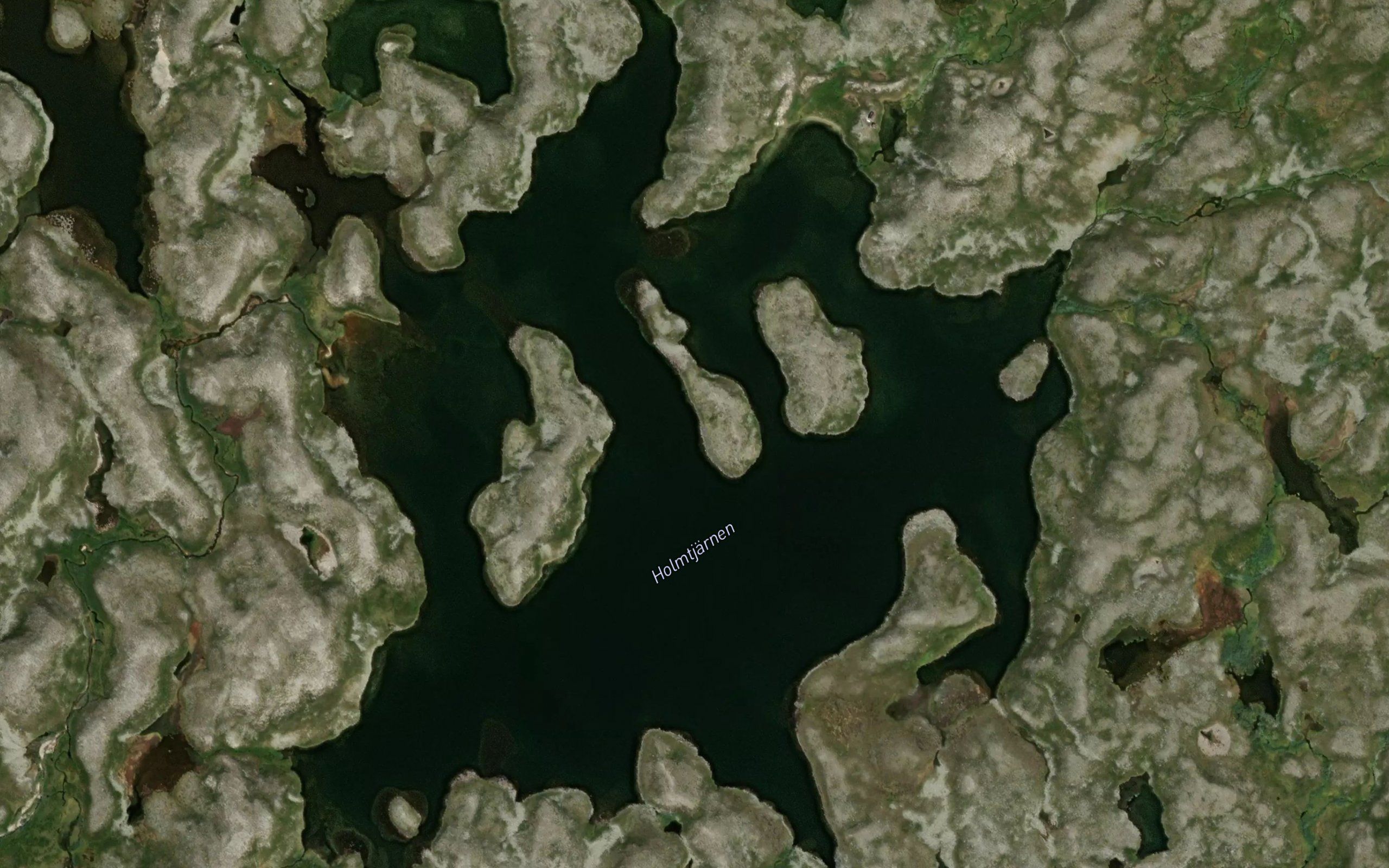 Holmtjarnen