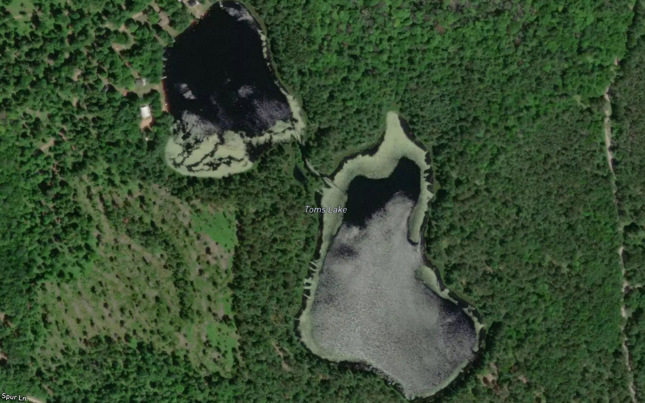 Toms Lake