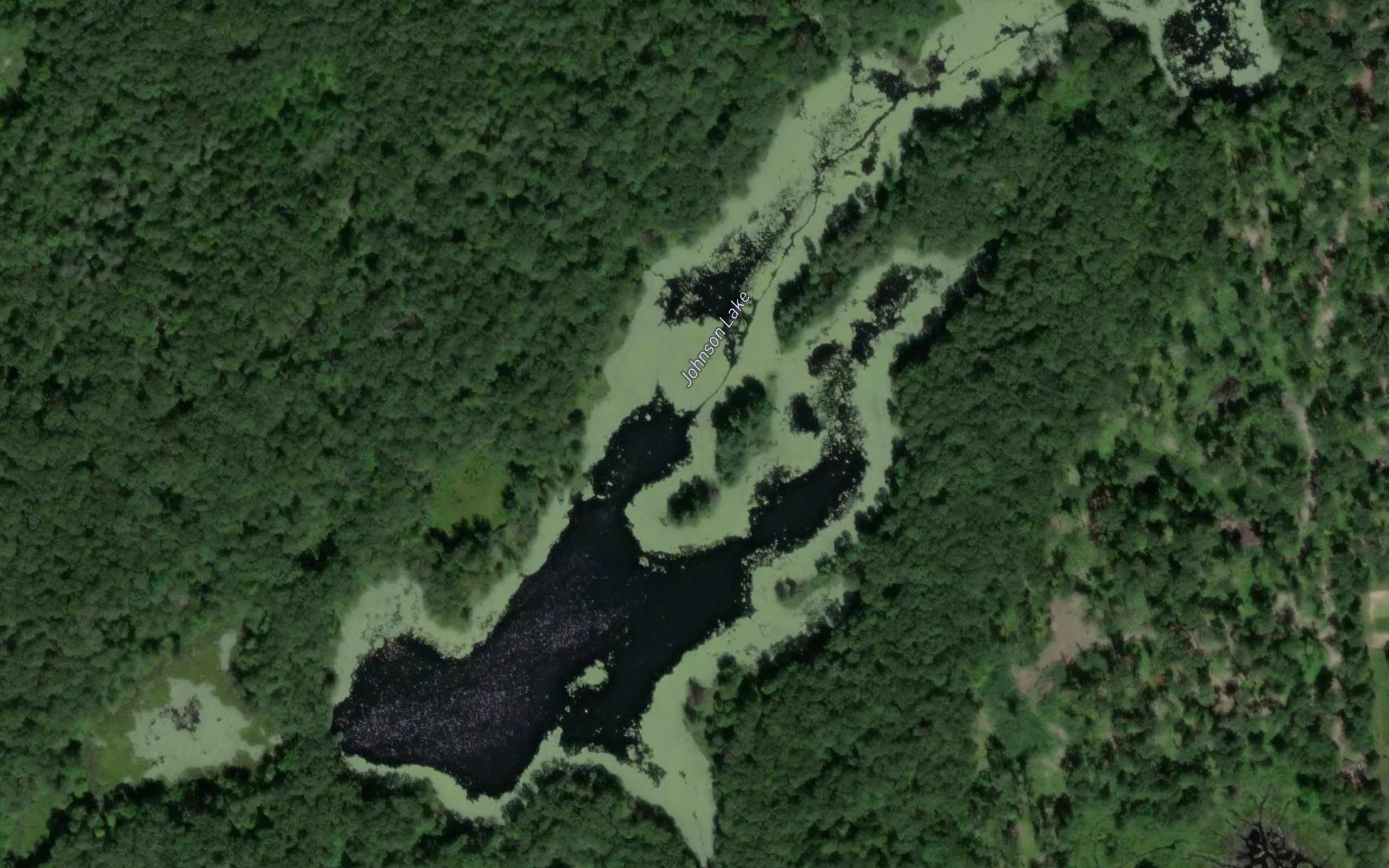 Johnson Lake