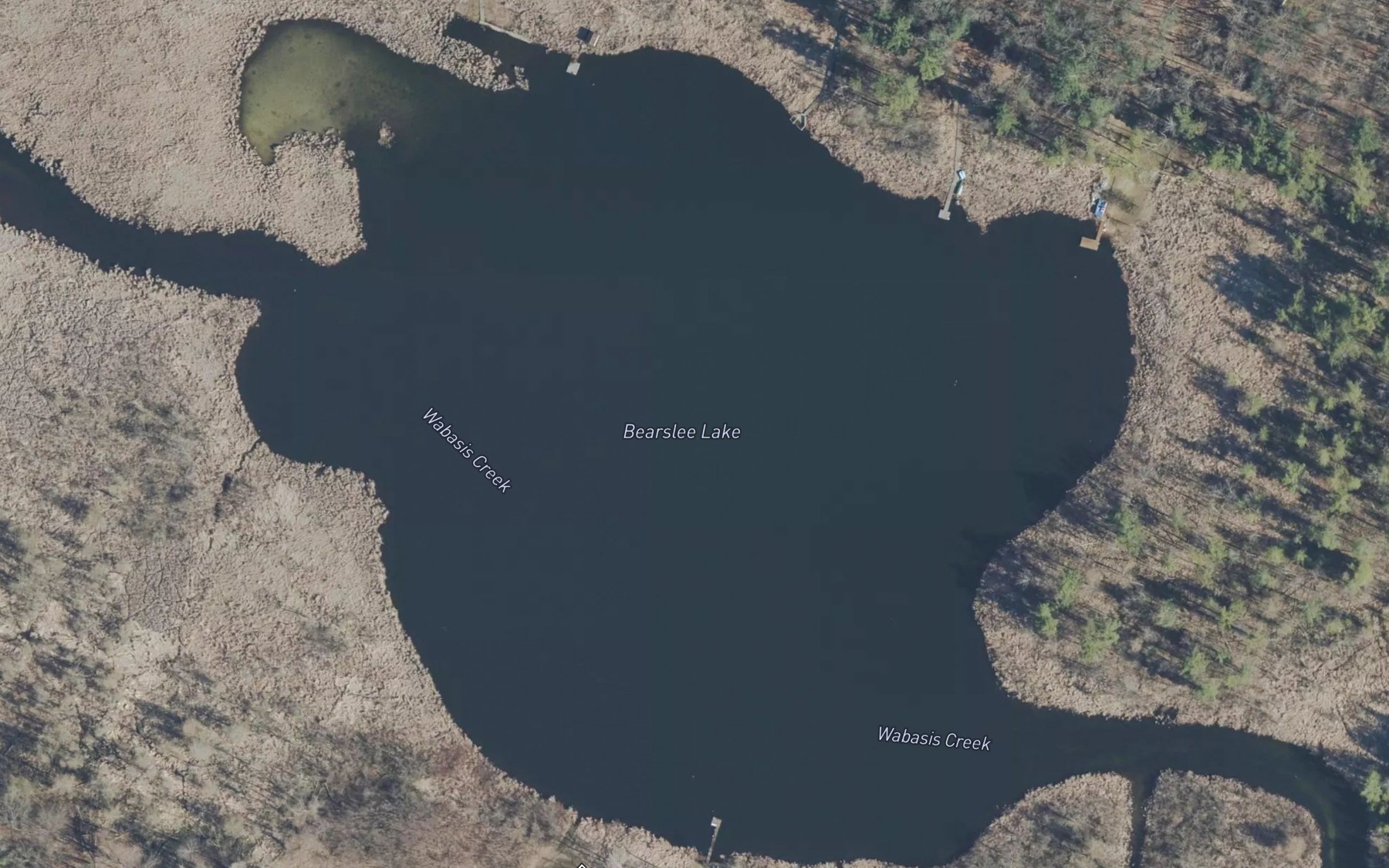 Satellite map of the Bearslee Lake