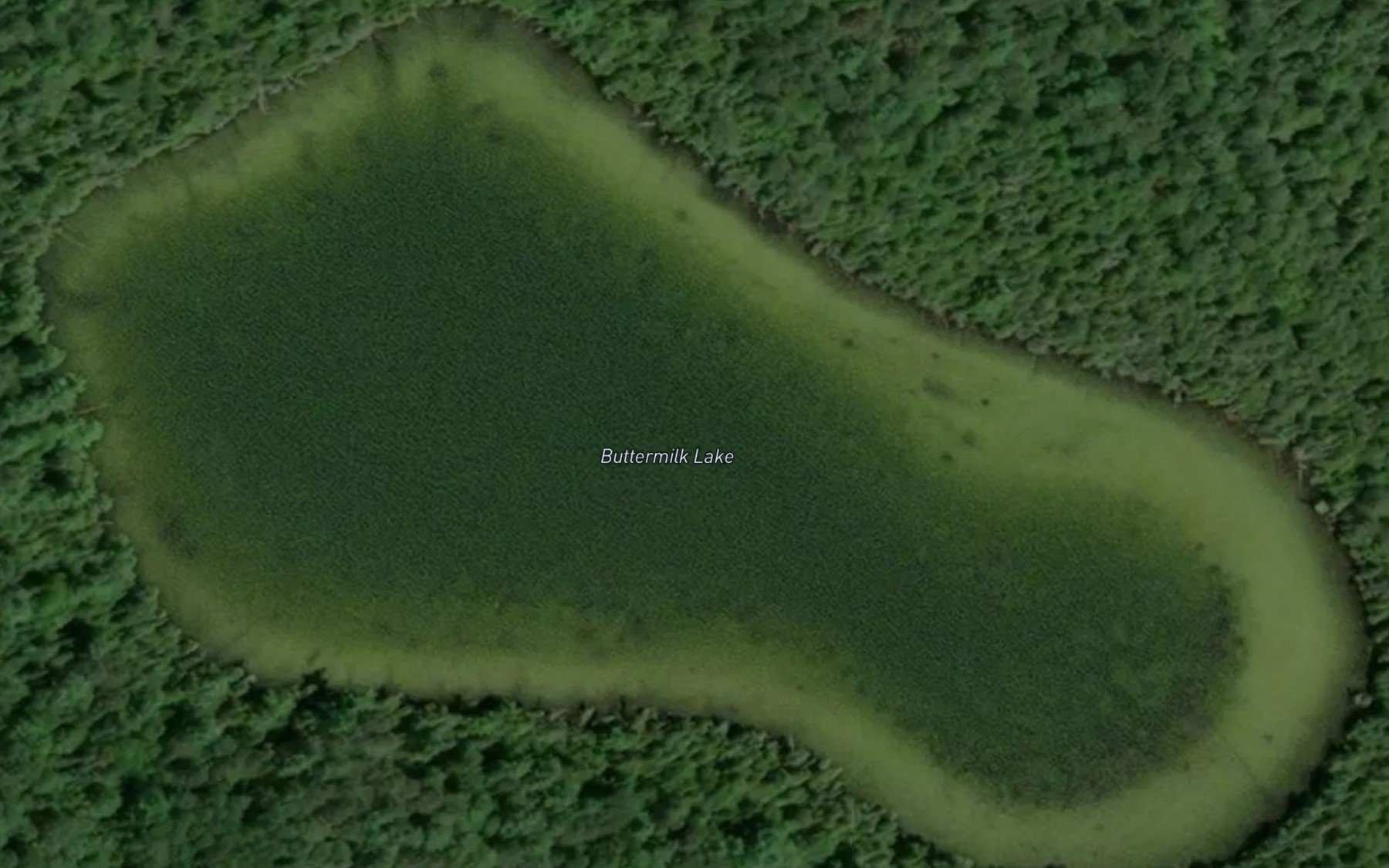 Satellite map of the Buttermilk Lake