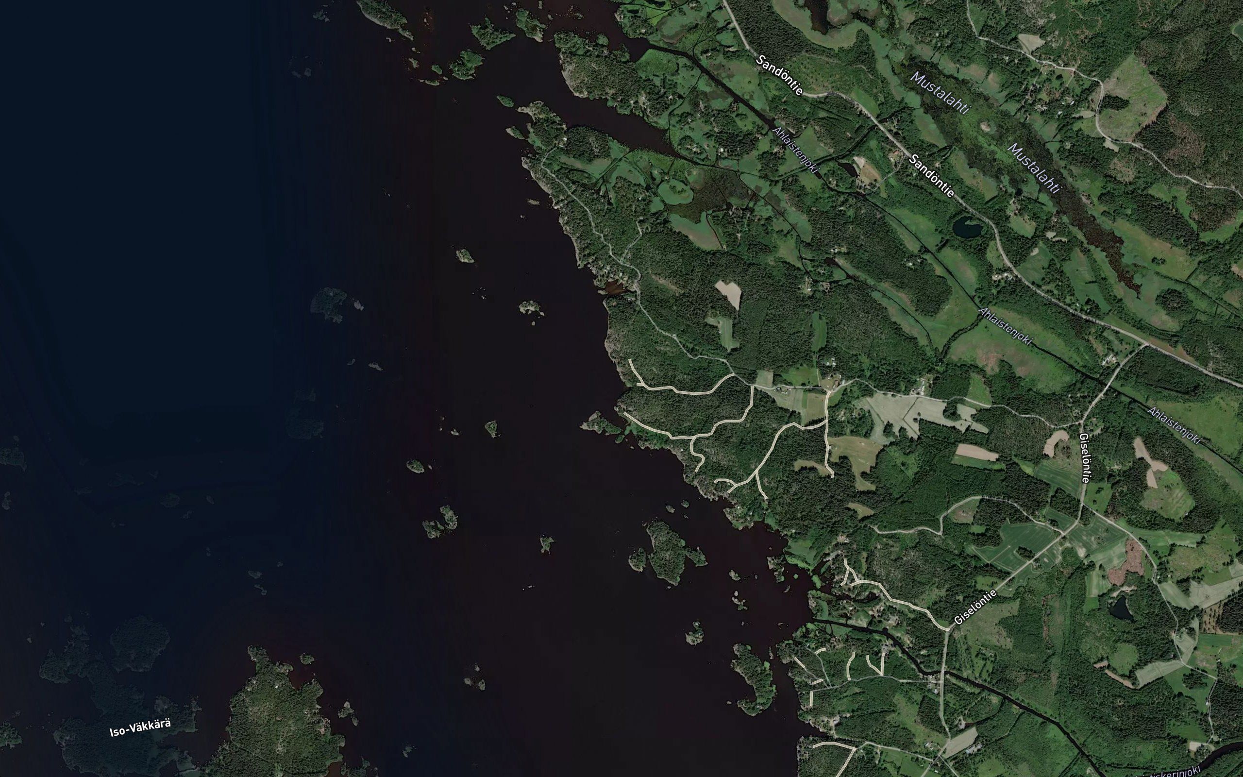 Silakkaviiki