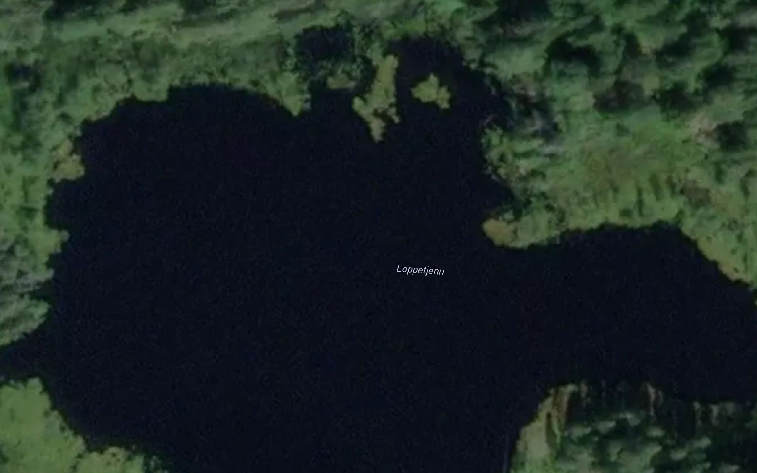 Loppetjorn
