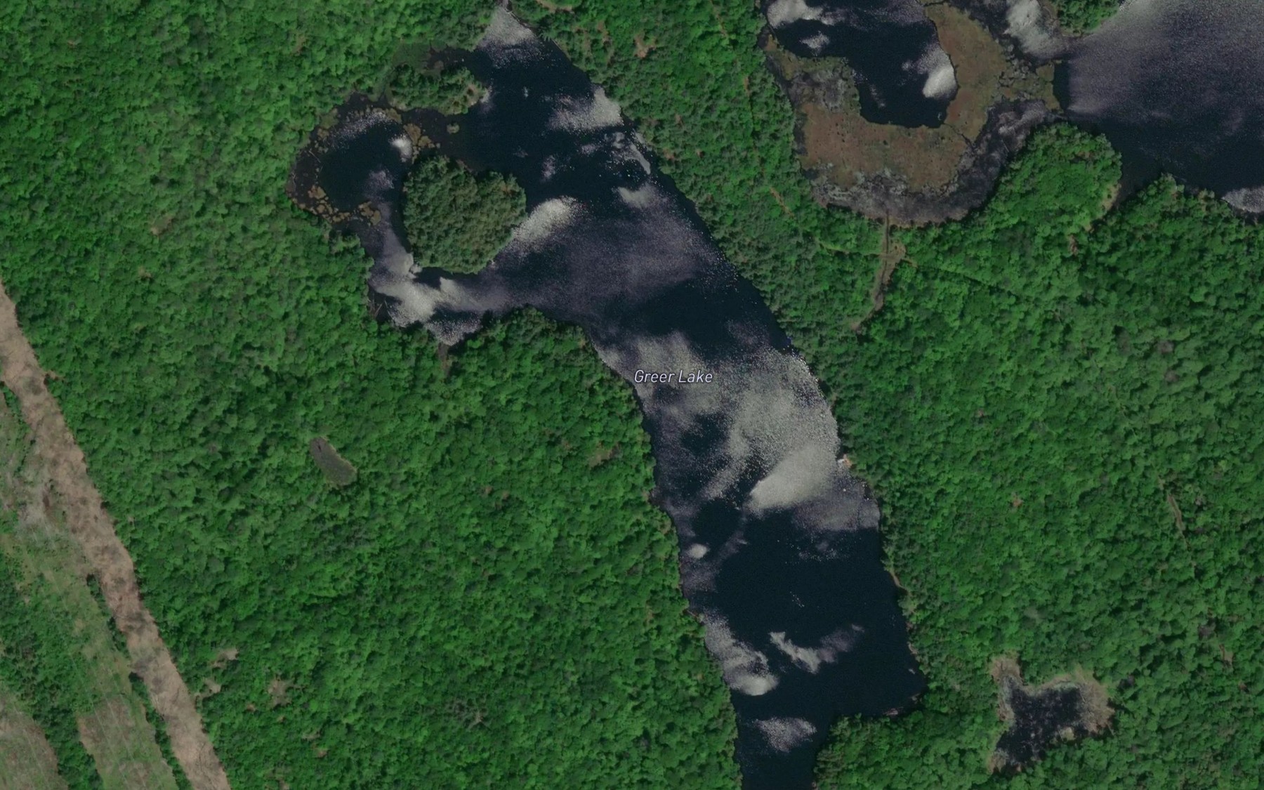 Satellite map of the Greer Lake