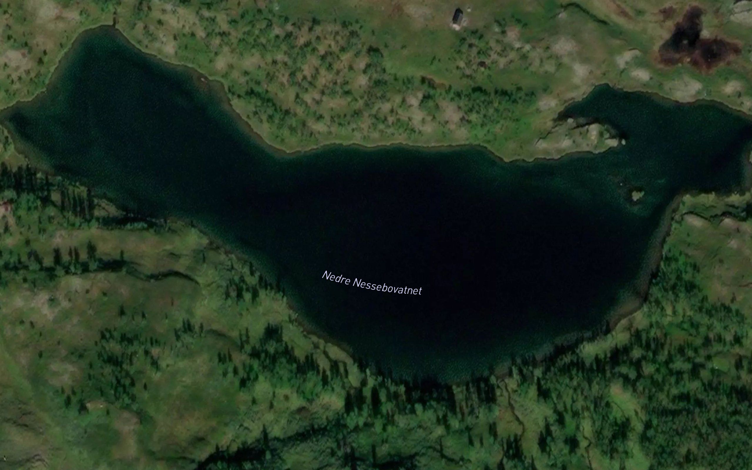 Nedre Nessebovatnet
