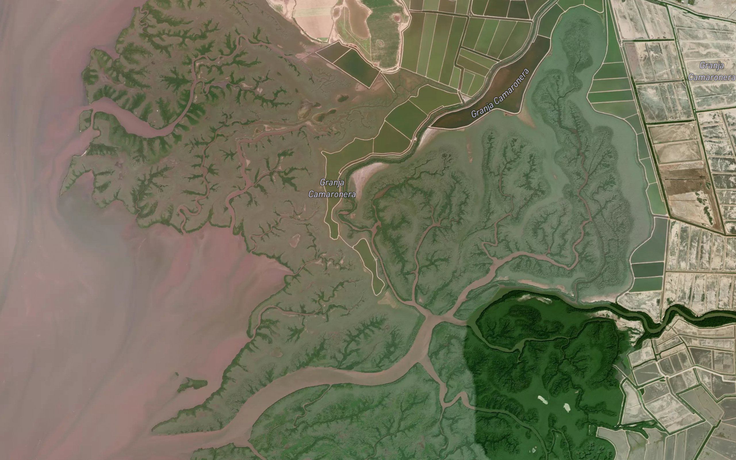Estero Sin Punta