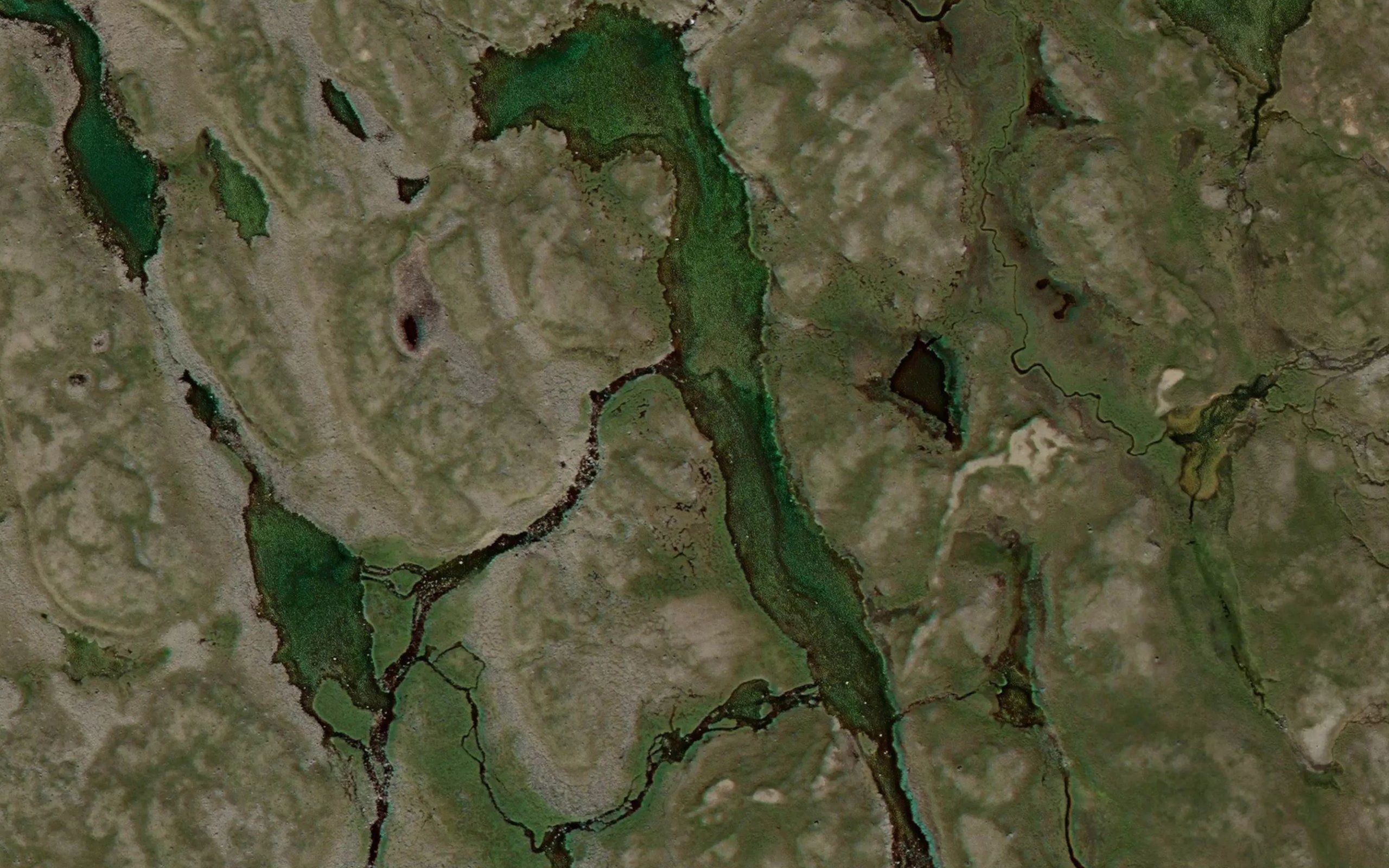 Gukkesluobbal
