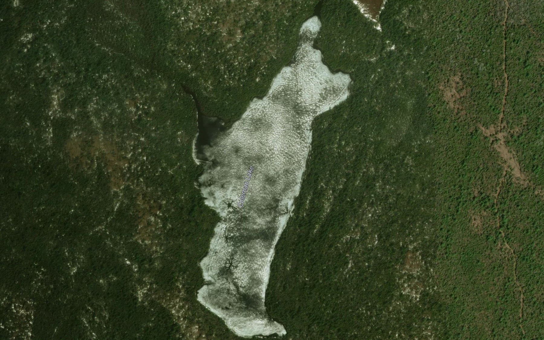 Satellite map of the Coleman Lake
