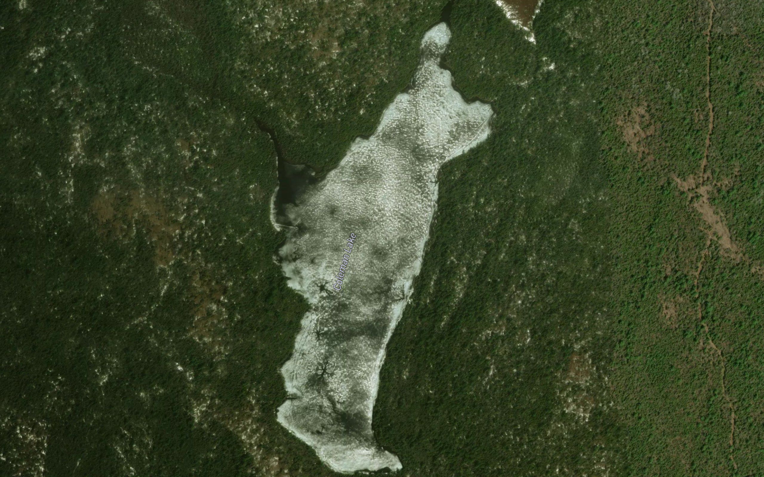 Coleman Lake