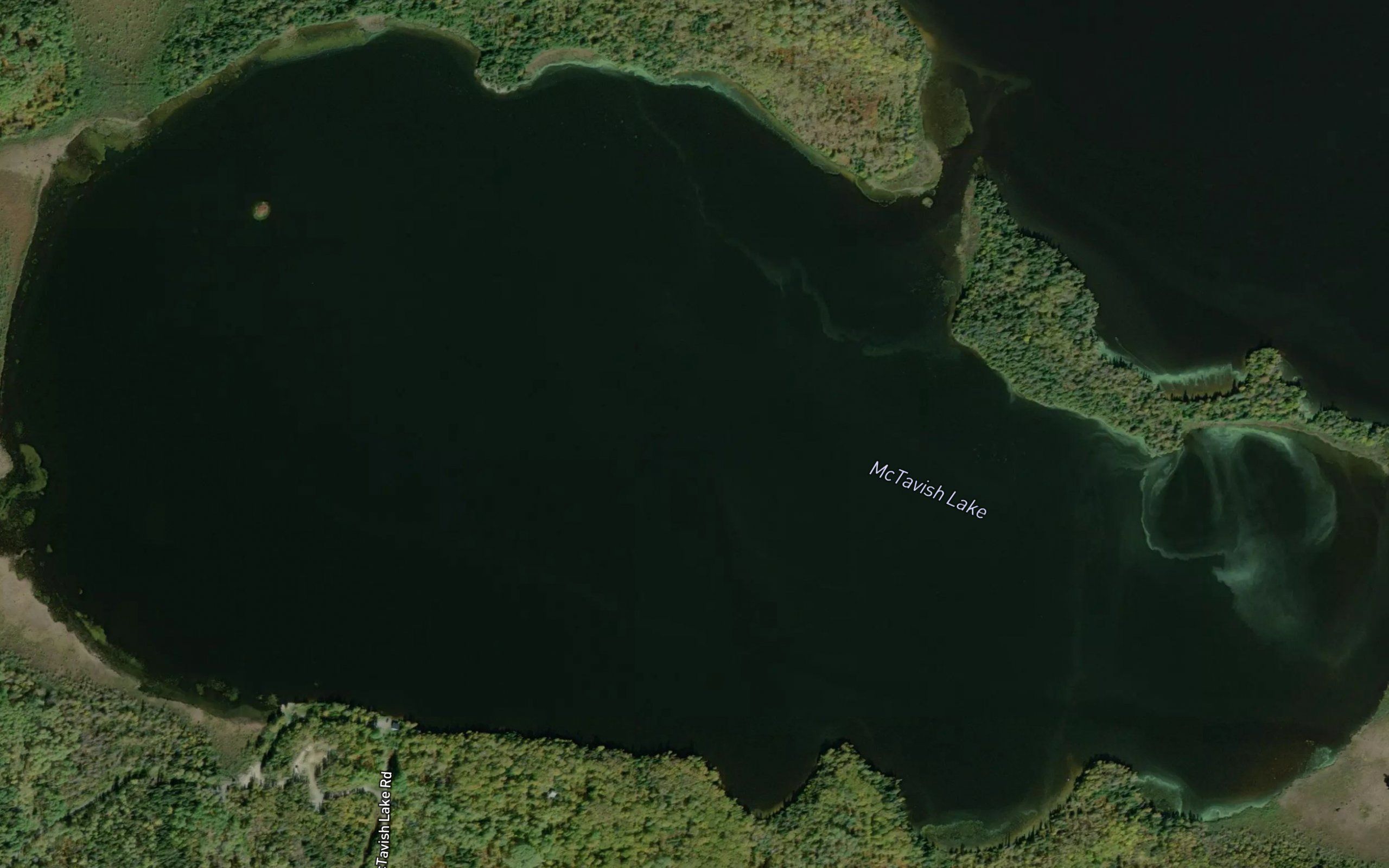 McTavish Lake