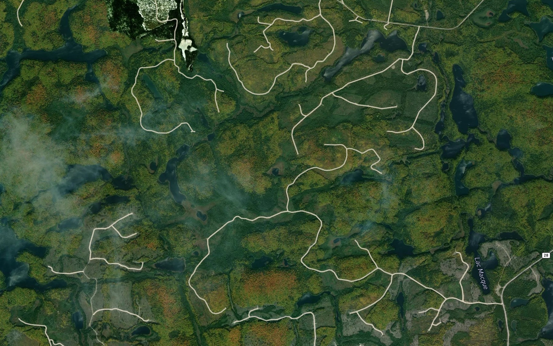 Satellite map of the Lac de la Palee