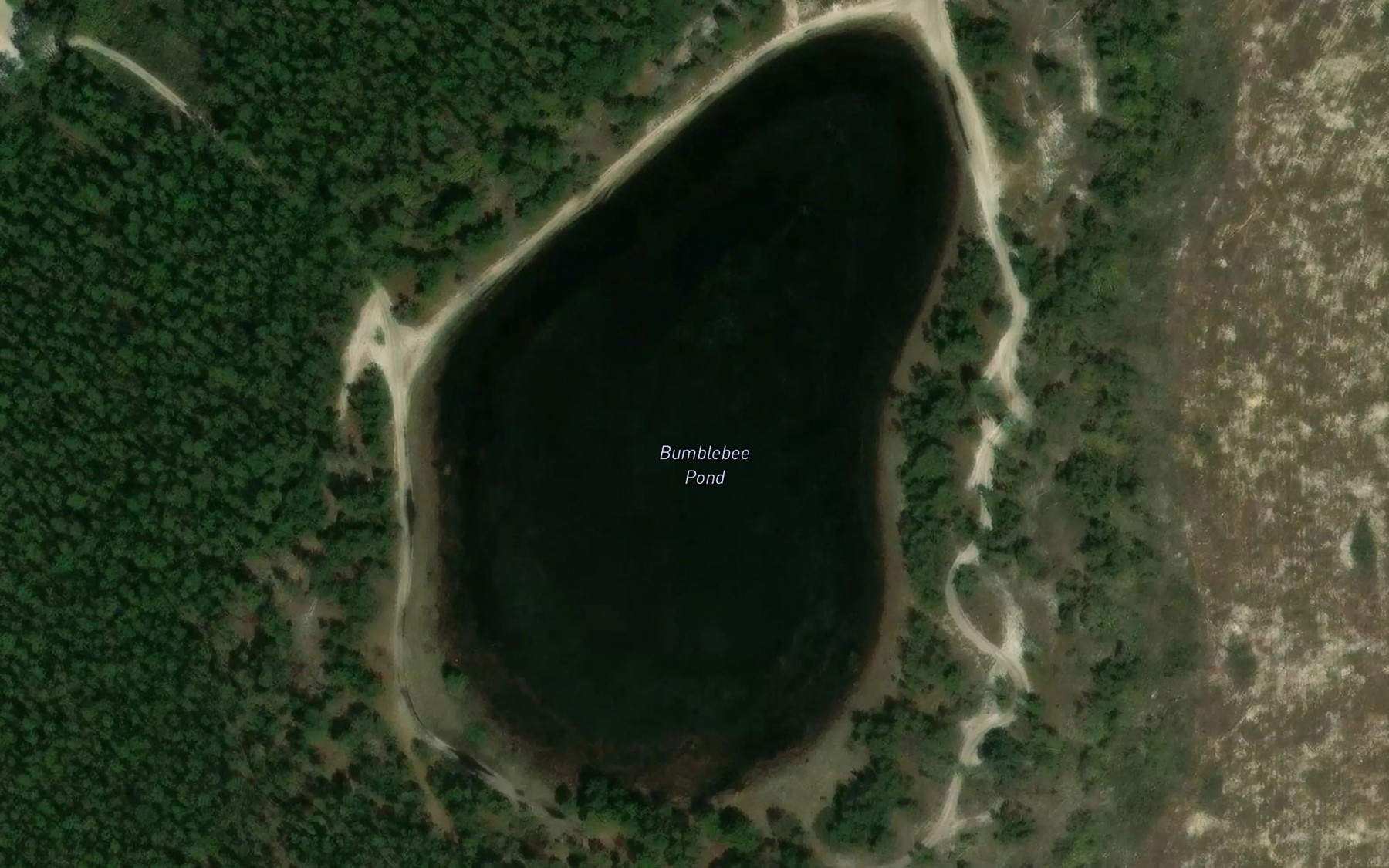 Satellite map of the Bumblebee Pond
