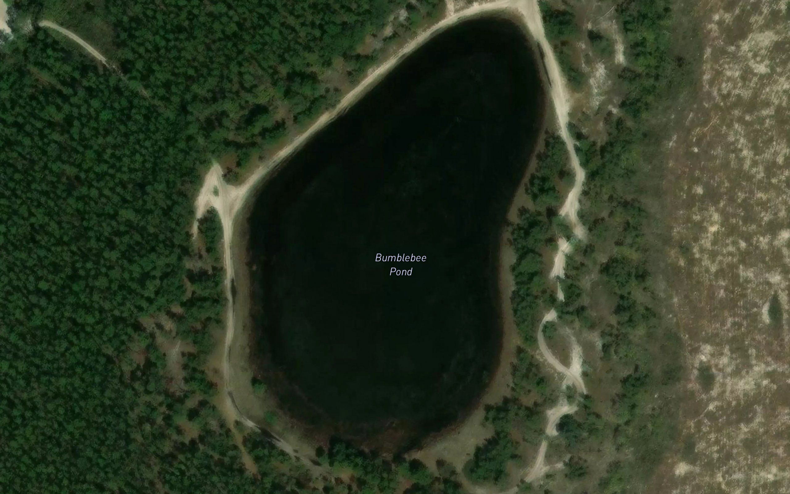Bumblebee Pond