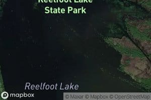 Reading House Slough