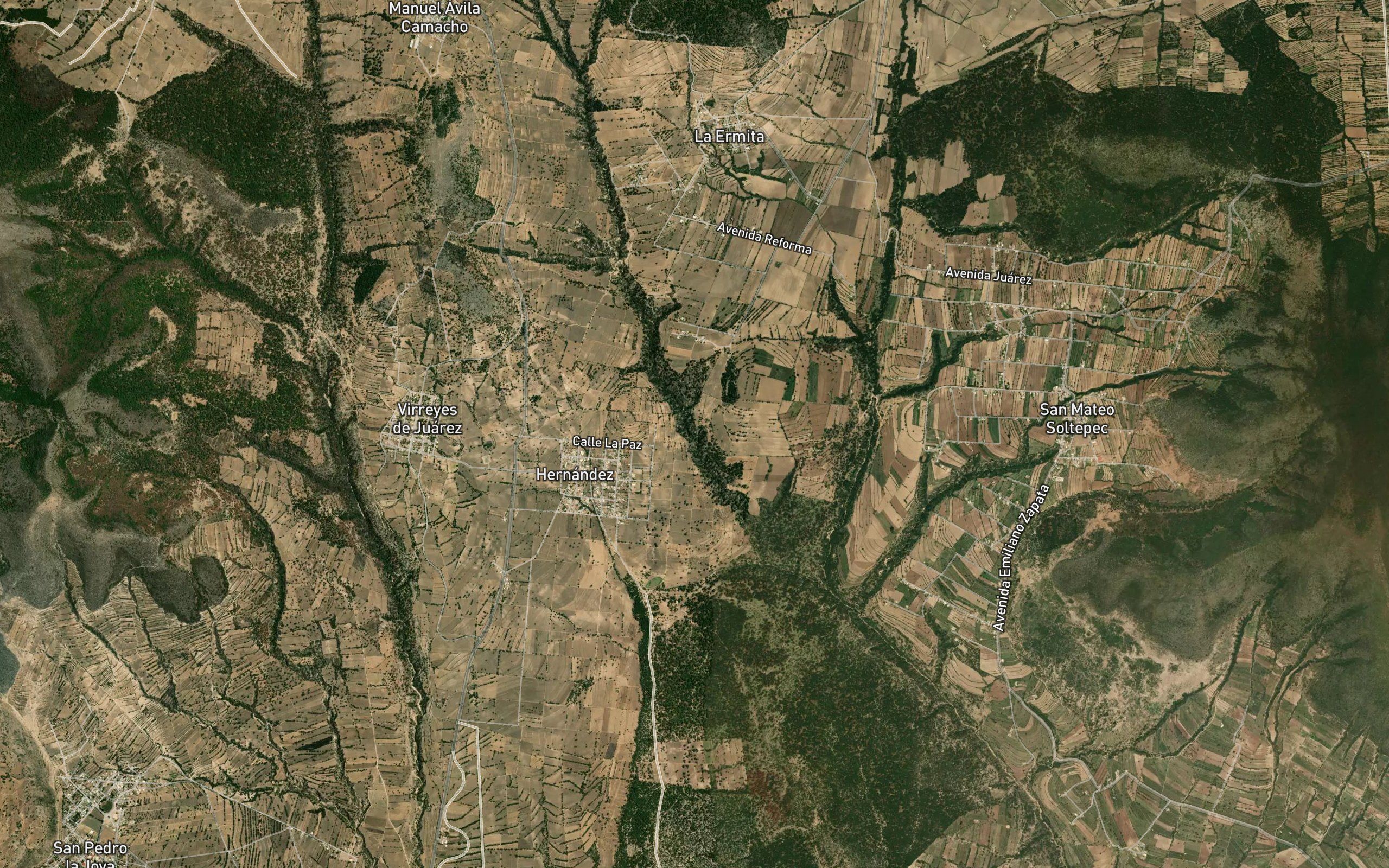 Tarasca