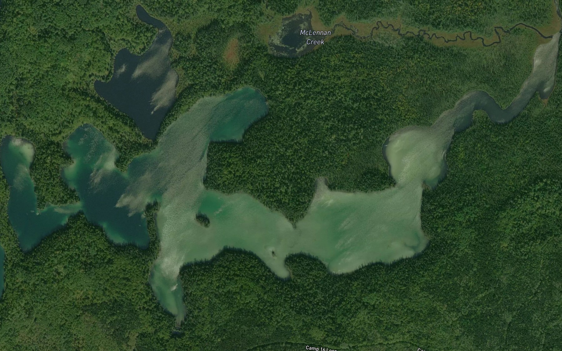 Satellite map of the Olympic Lake