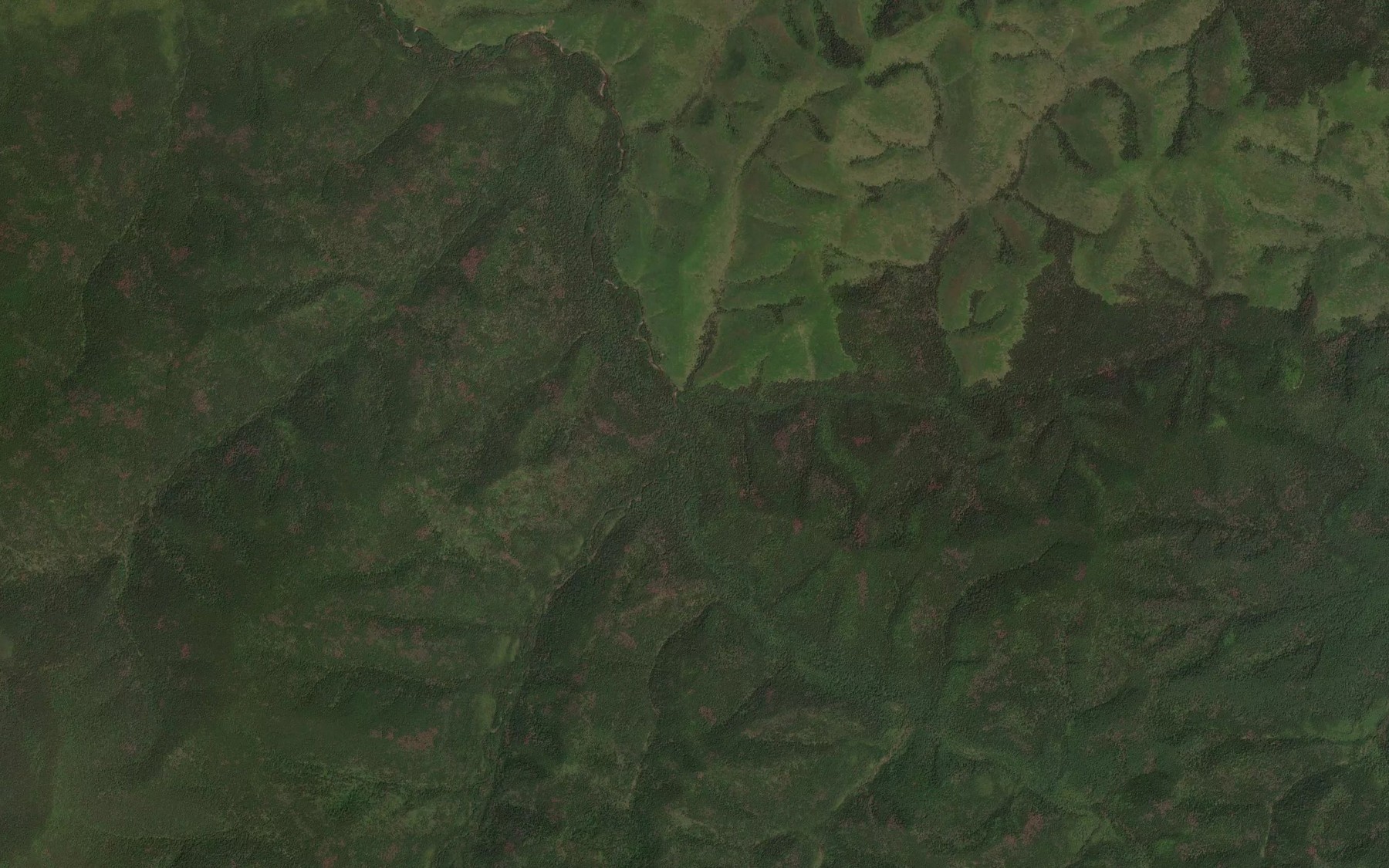 Satellite map of the Kholodnyy