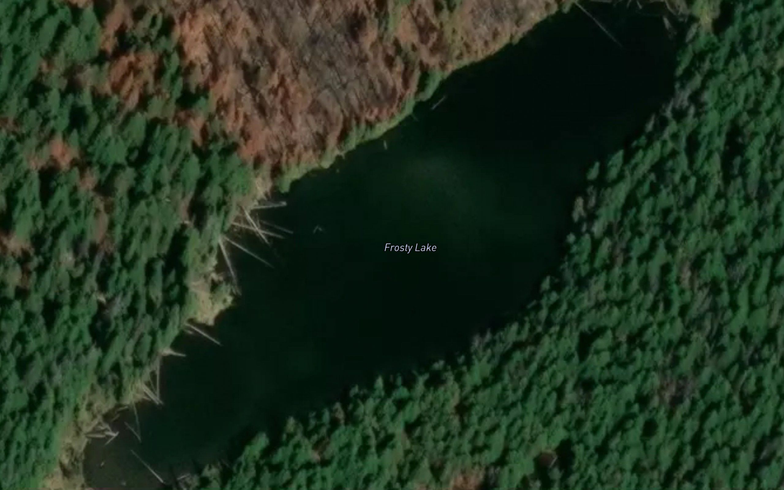 Frosty Lake