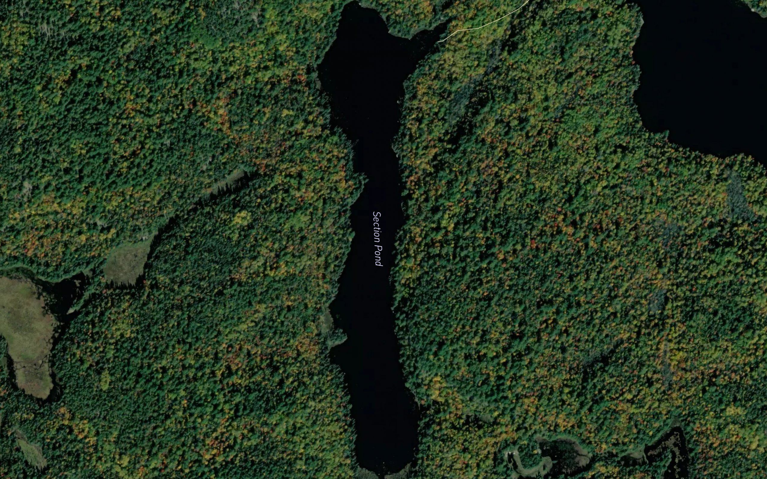 Section Pond
