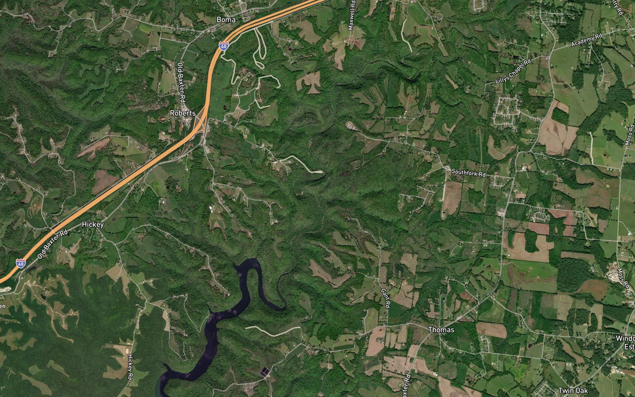 Tom Hollow Branch