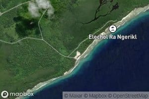 East Mangrove Swamp West