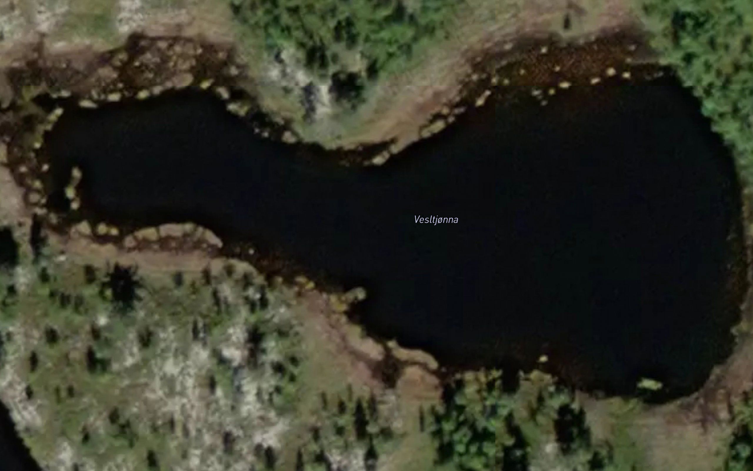 Vesletjorna