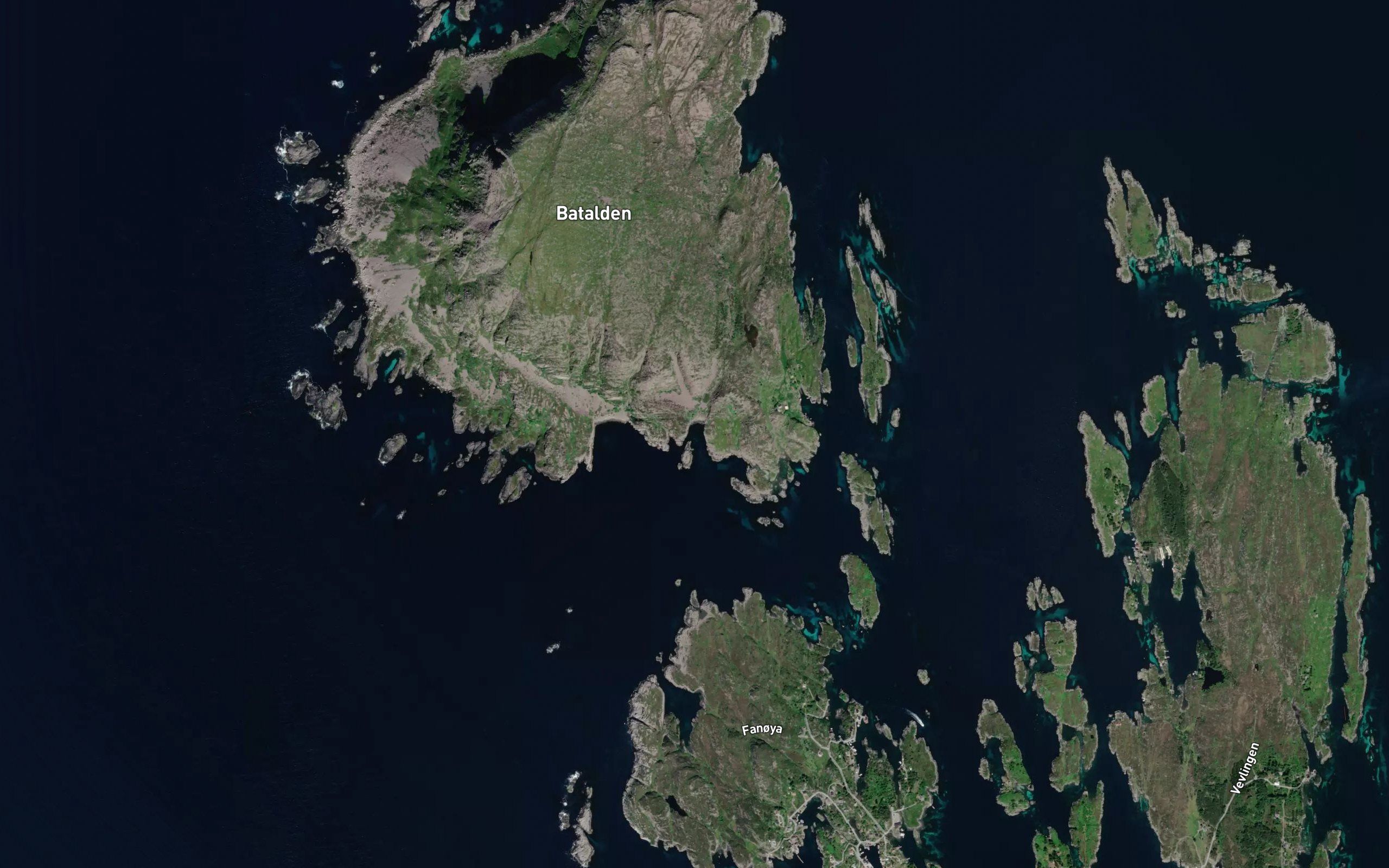 Grovika