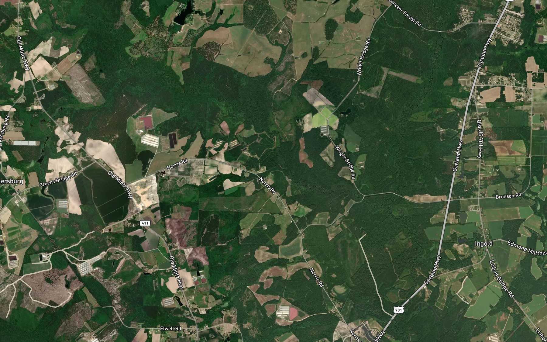 Satellite map of the Rattlesnake Branch