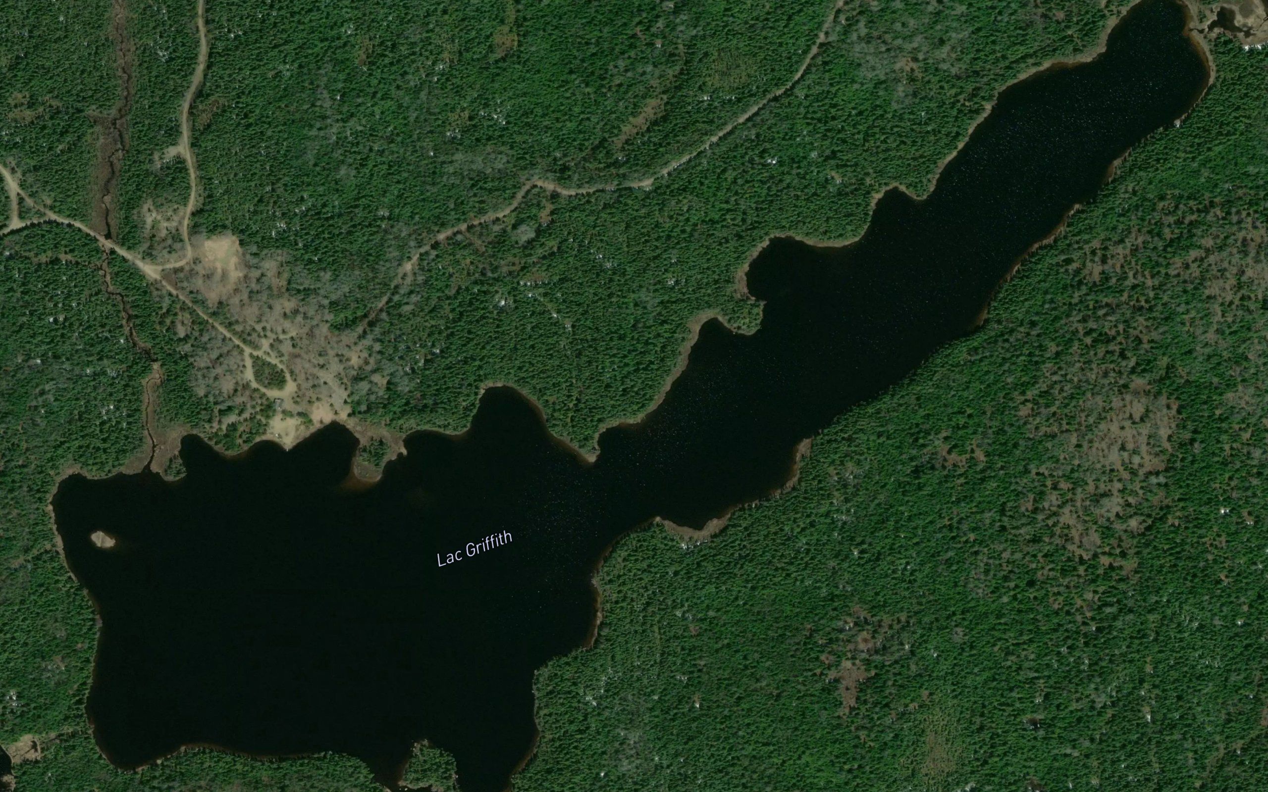 Lac Griffith