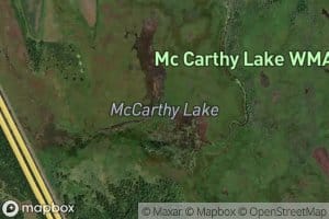 McCarthy Lake