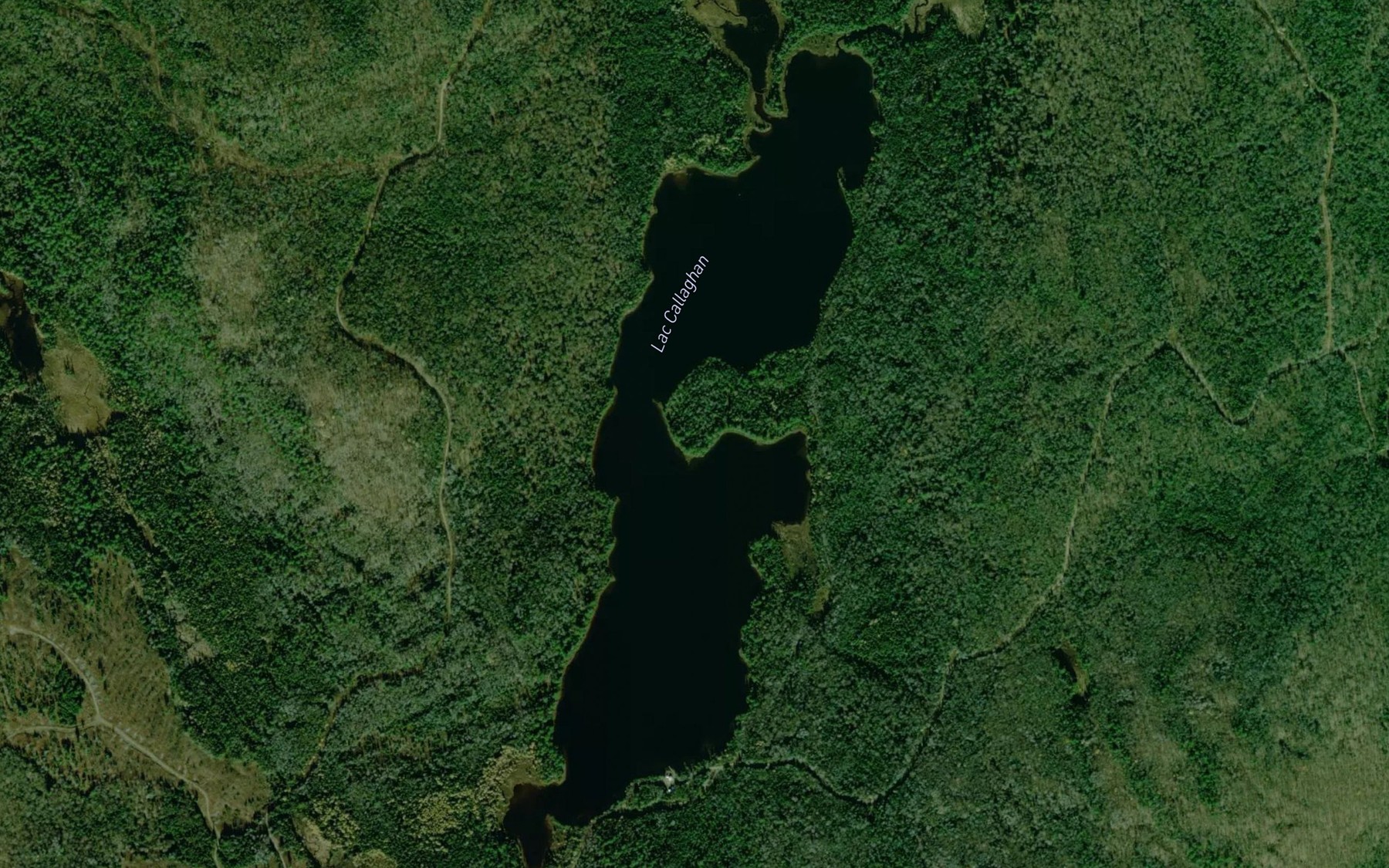 Satellite map of the Lac Callaghan
