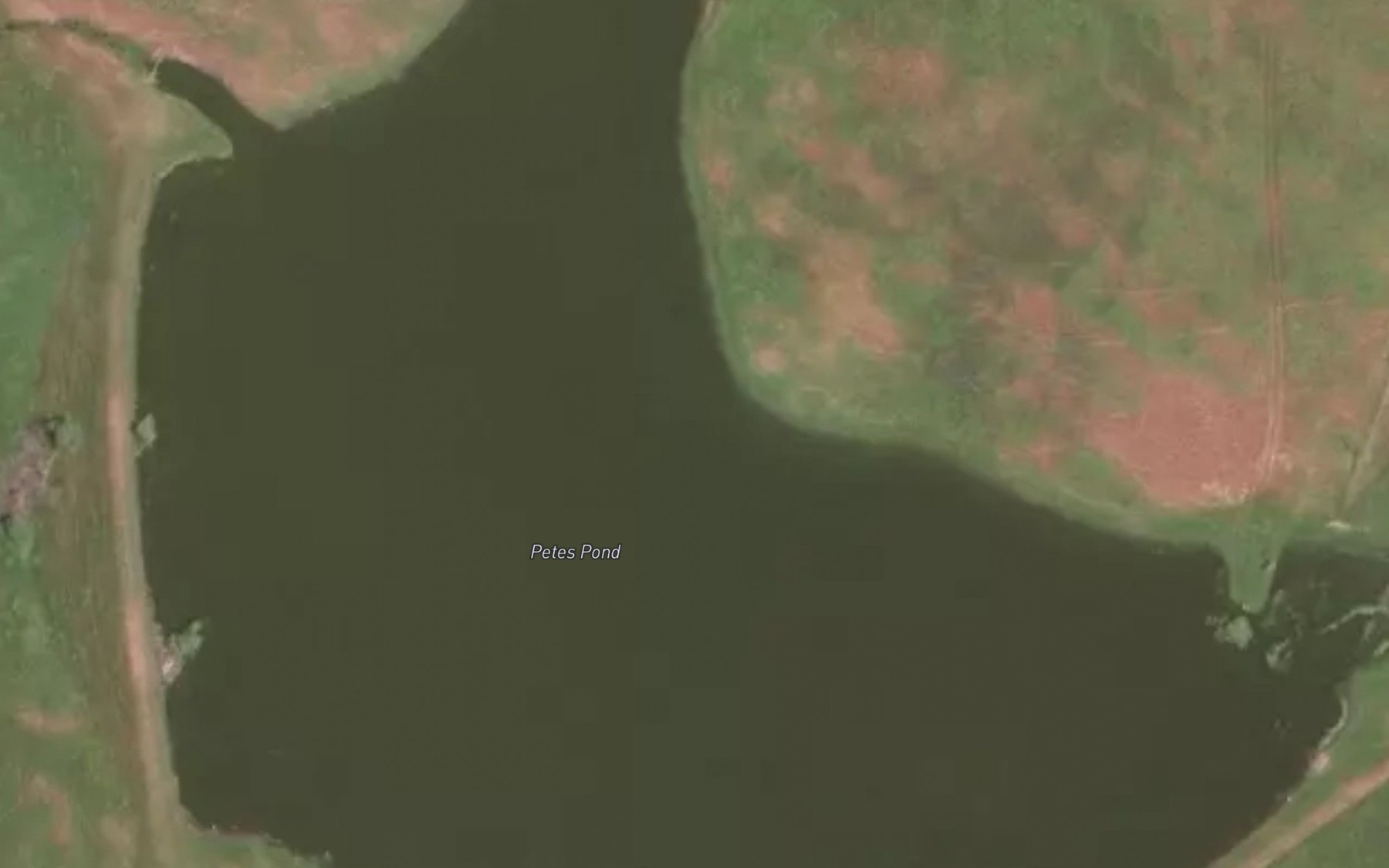 Satellite map of the Petes Pond