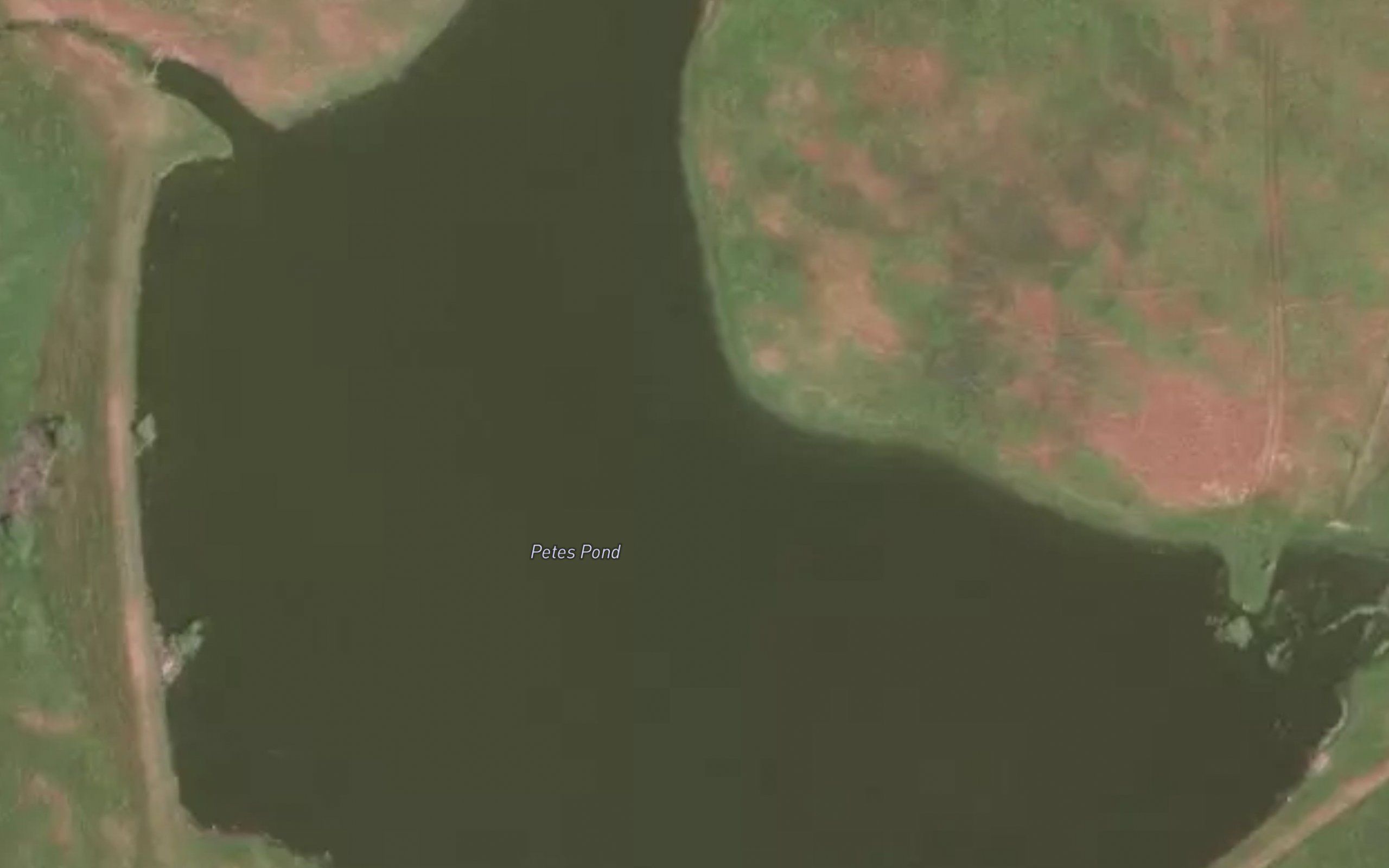 Petes Pond