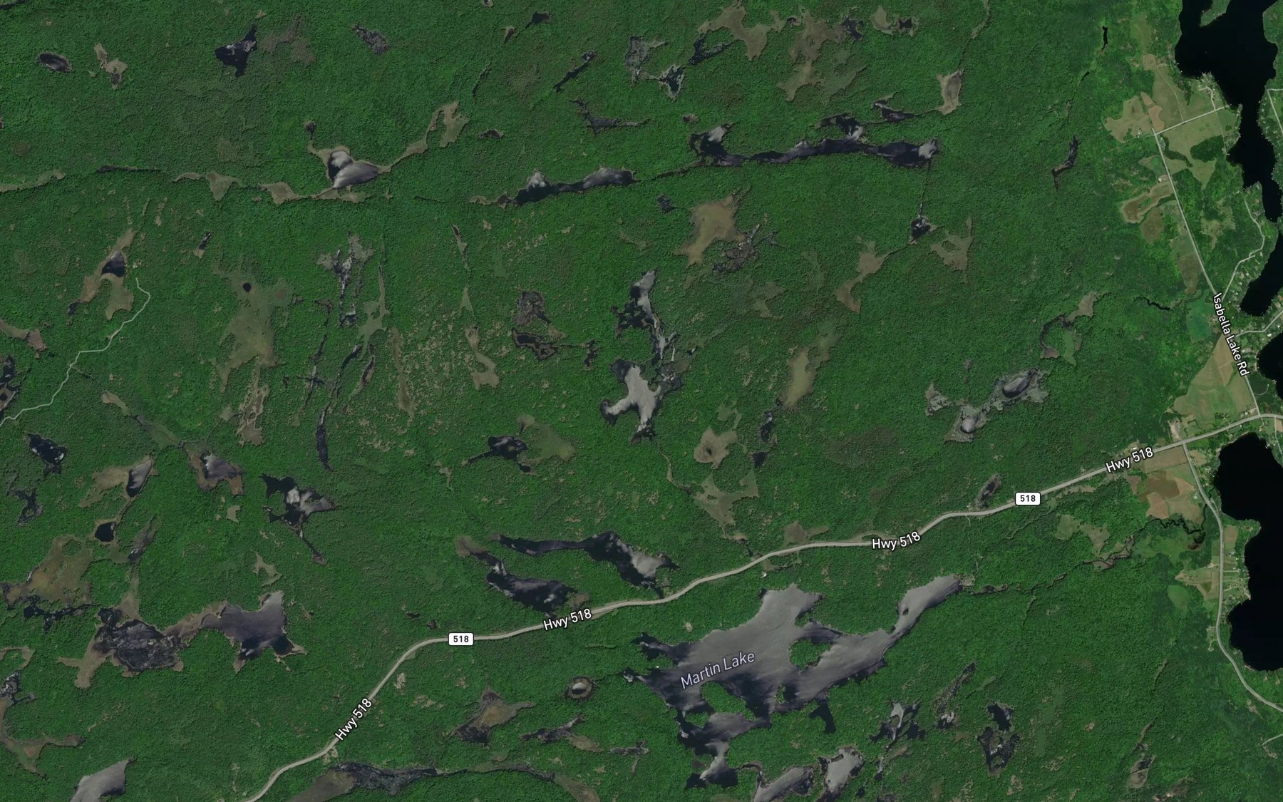Satellite map of the Dainty Lake
