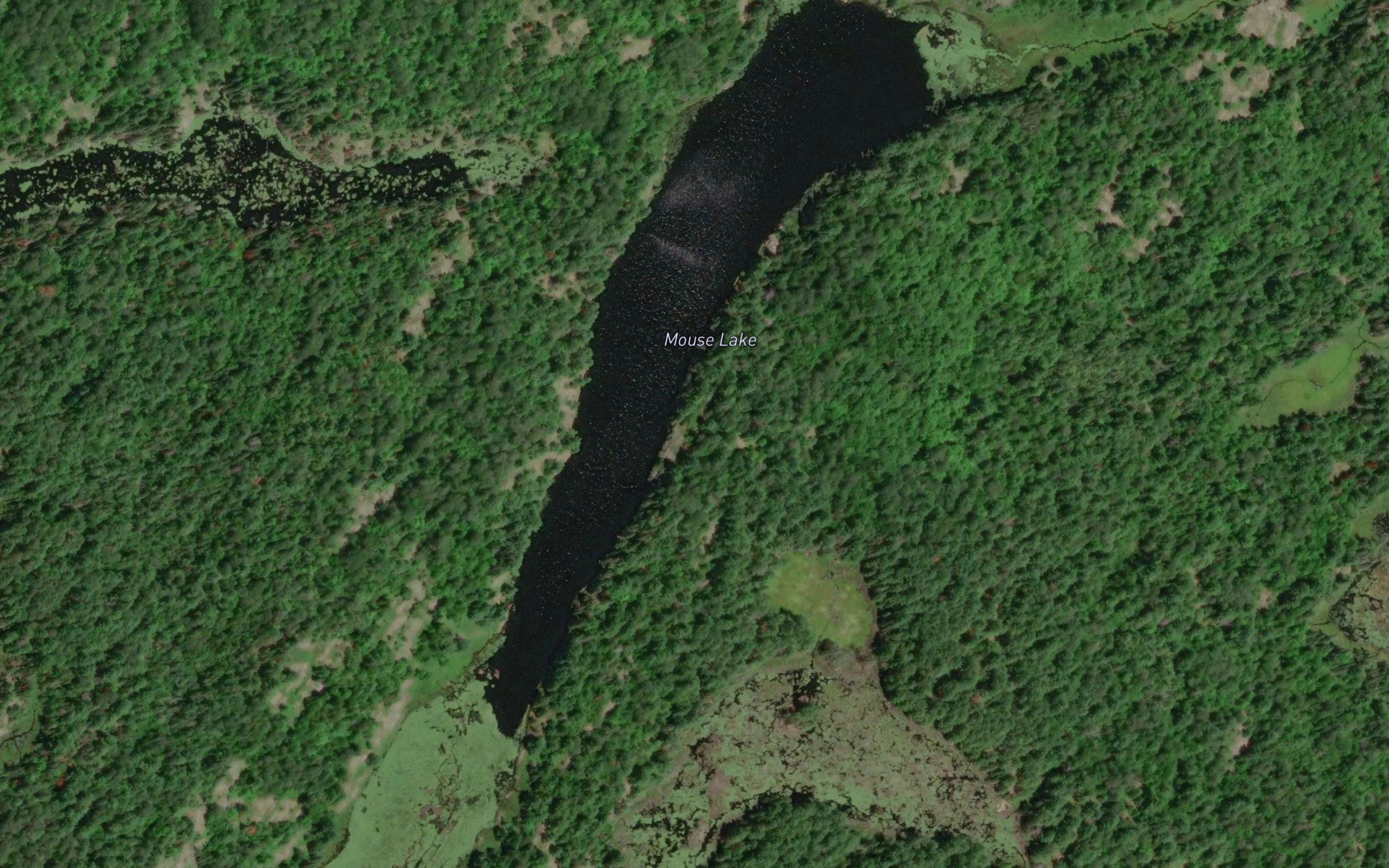 Mouse Lake