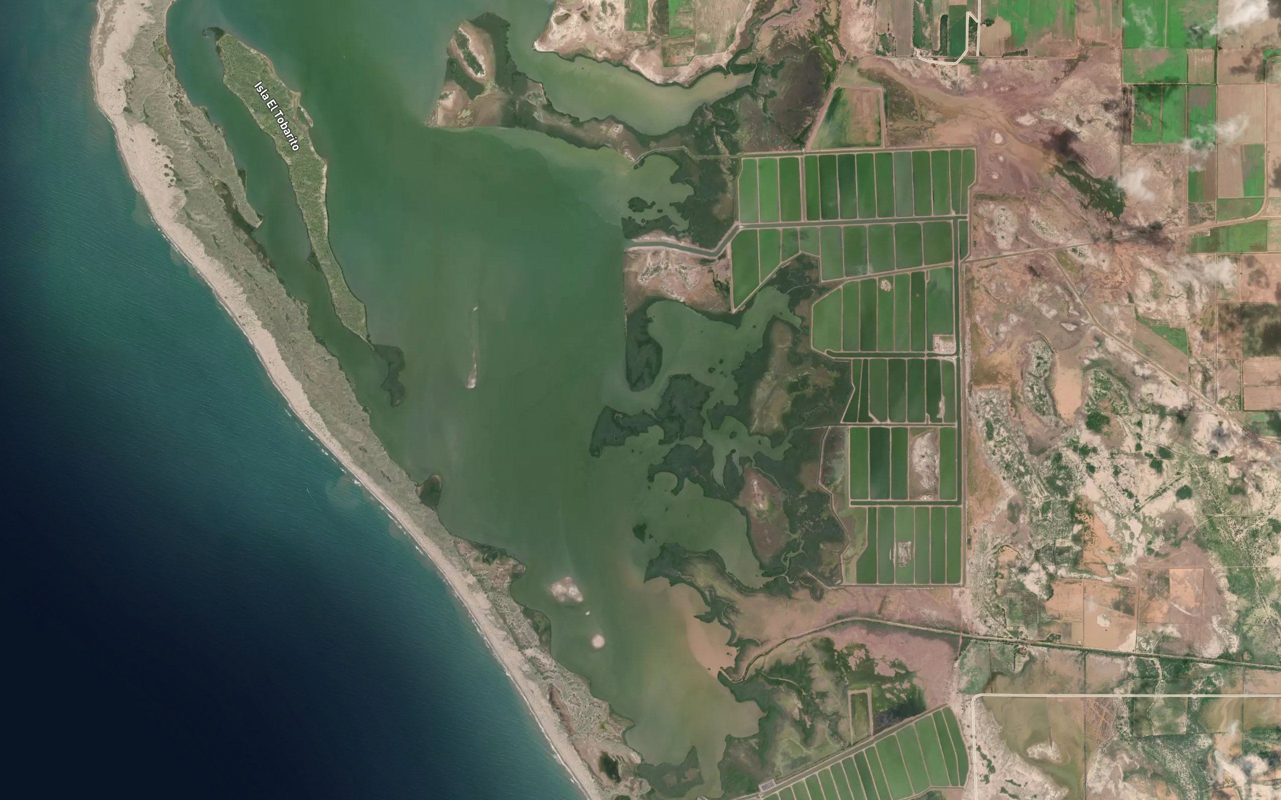 Estero la Pitahaya