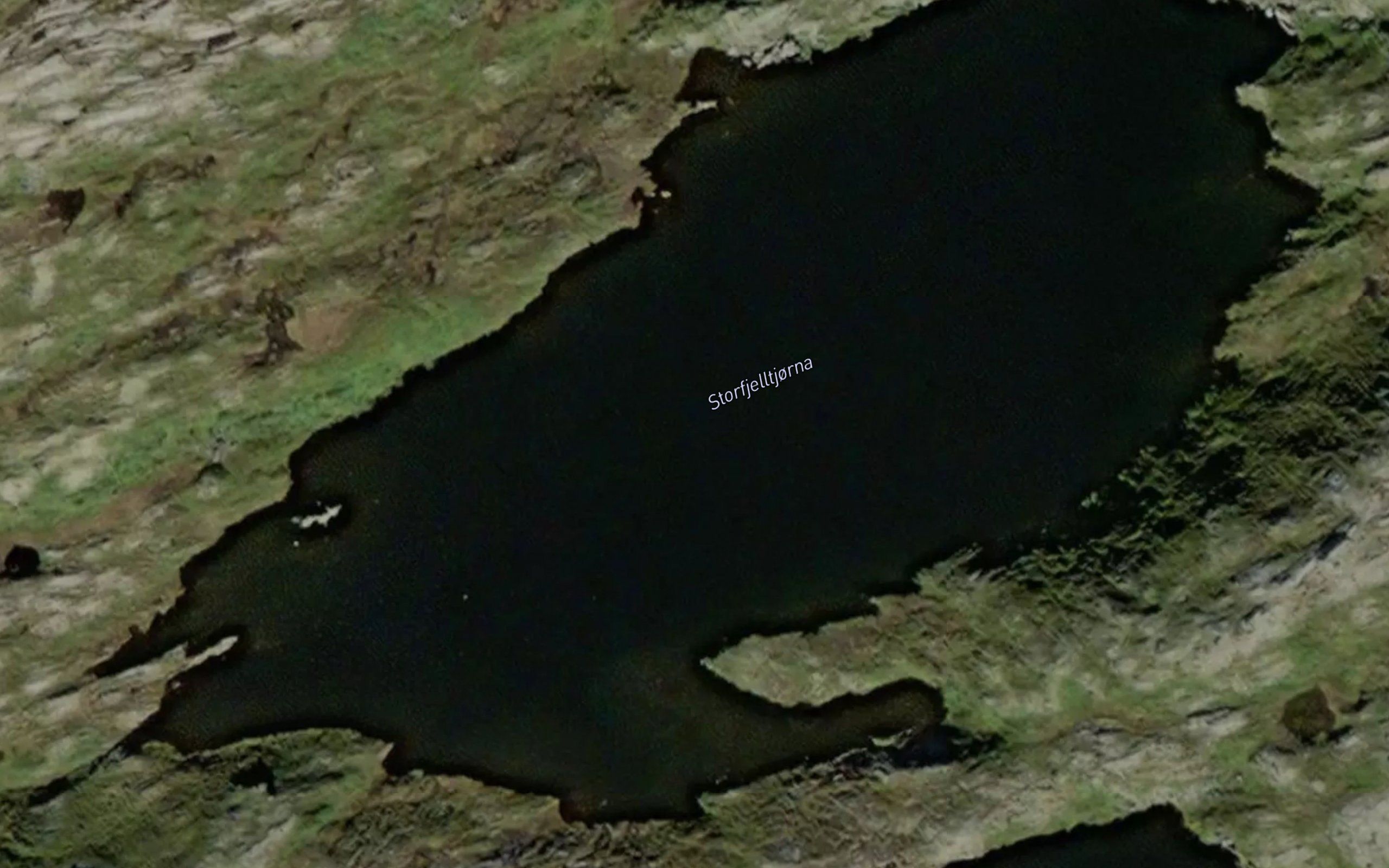Storfjelltjorna