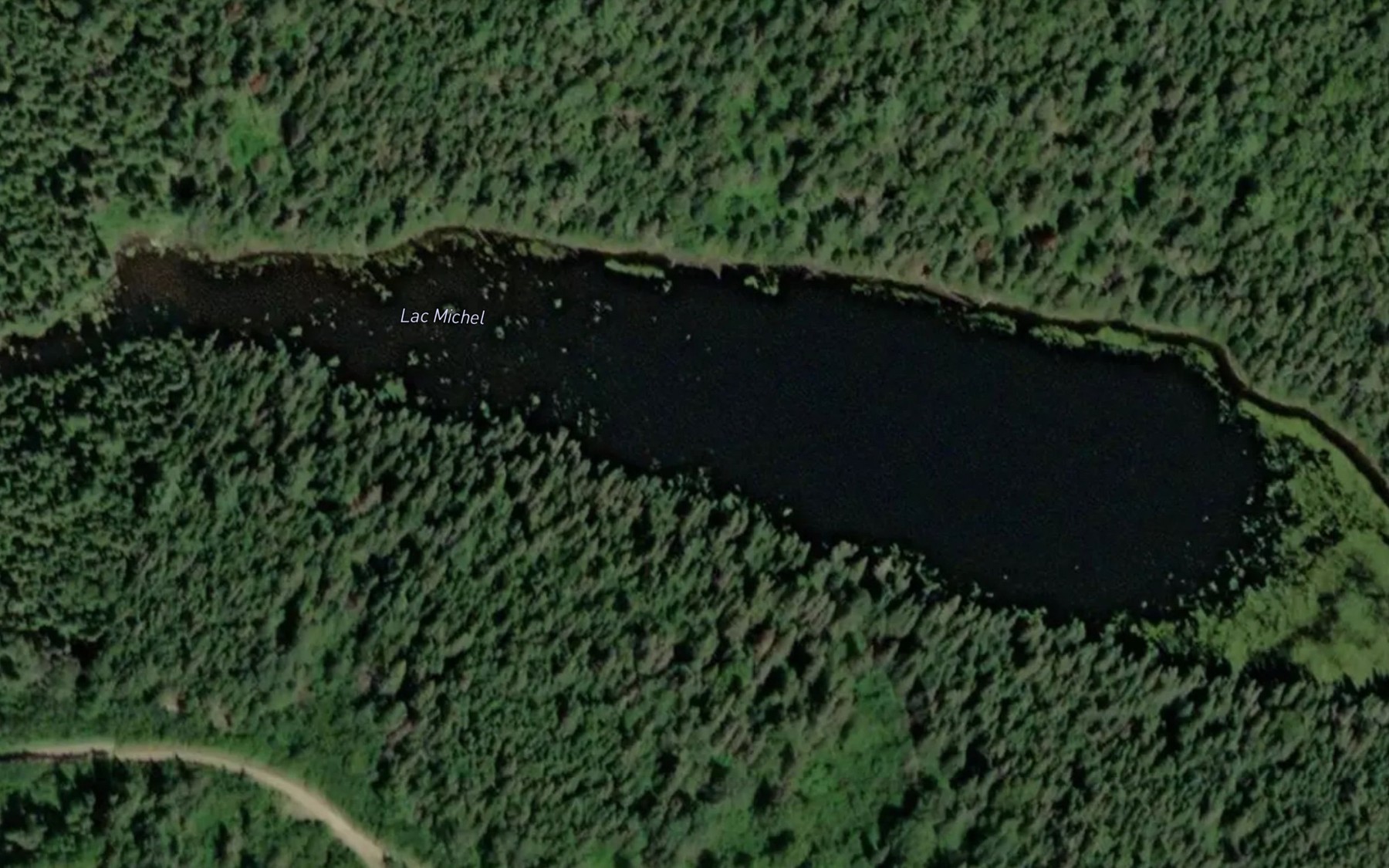Satellite map of the Lac Michel