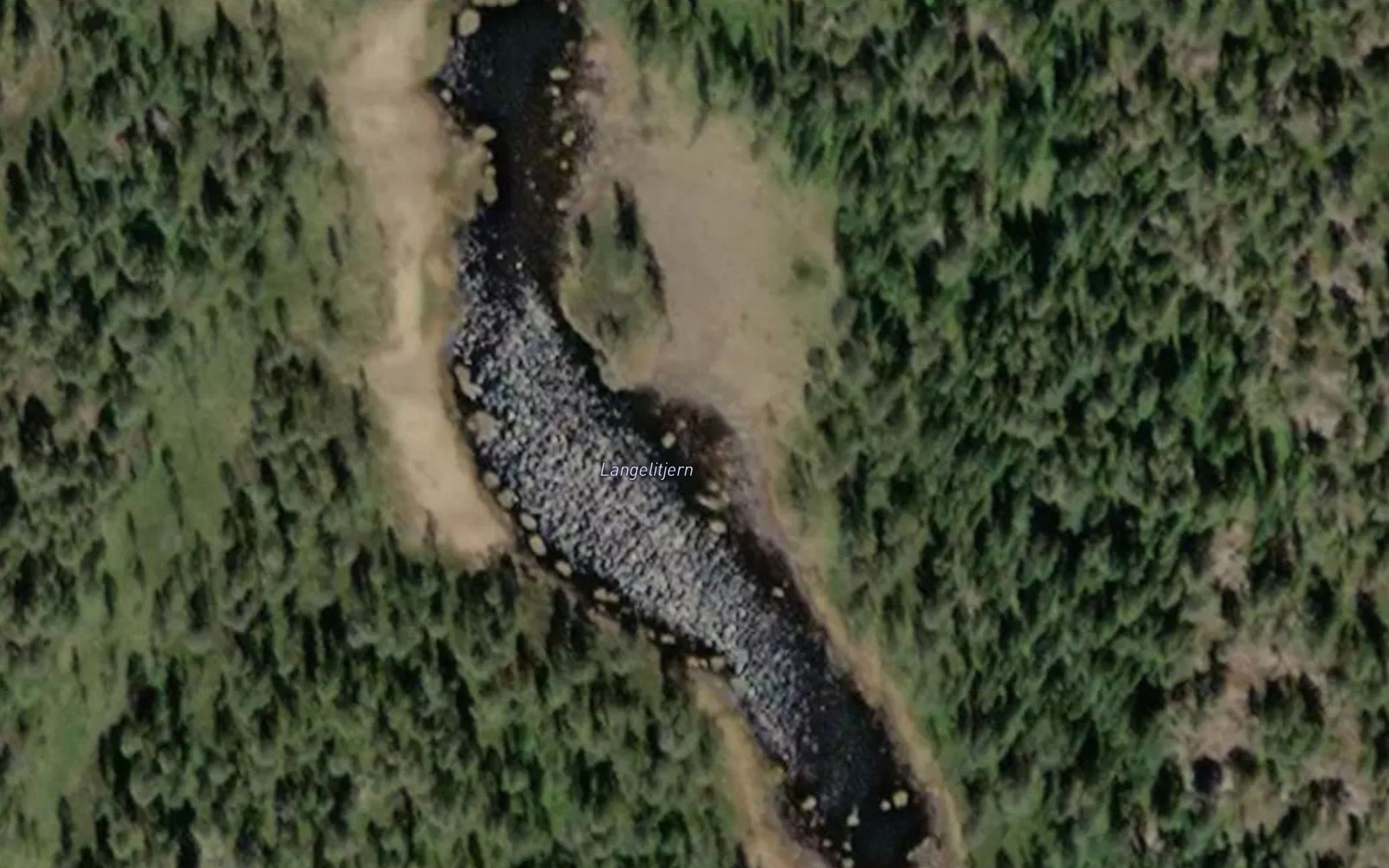 Langelitjern